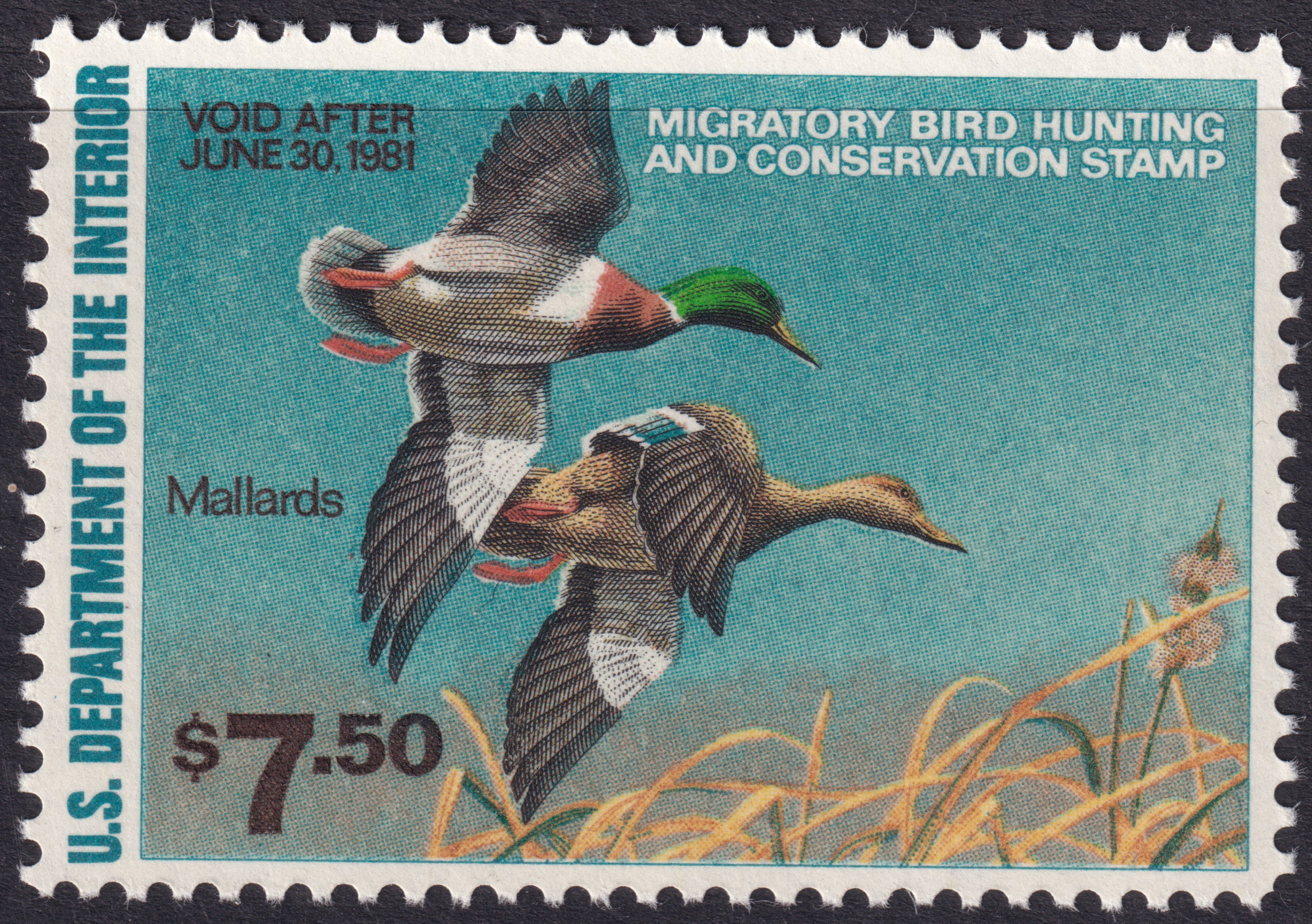 Stamp Picture