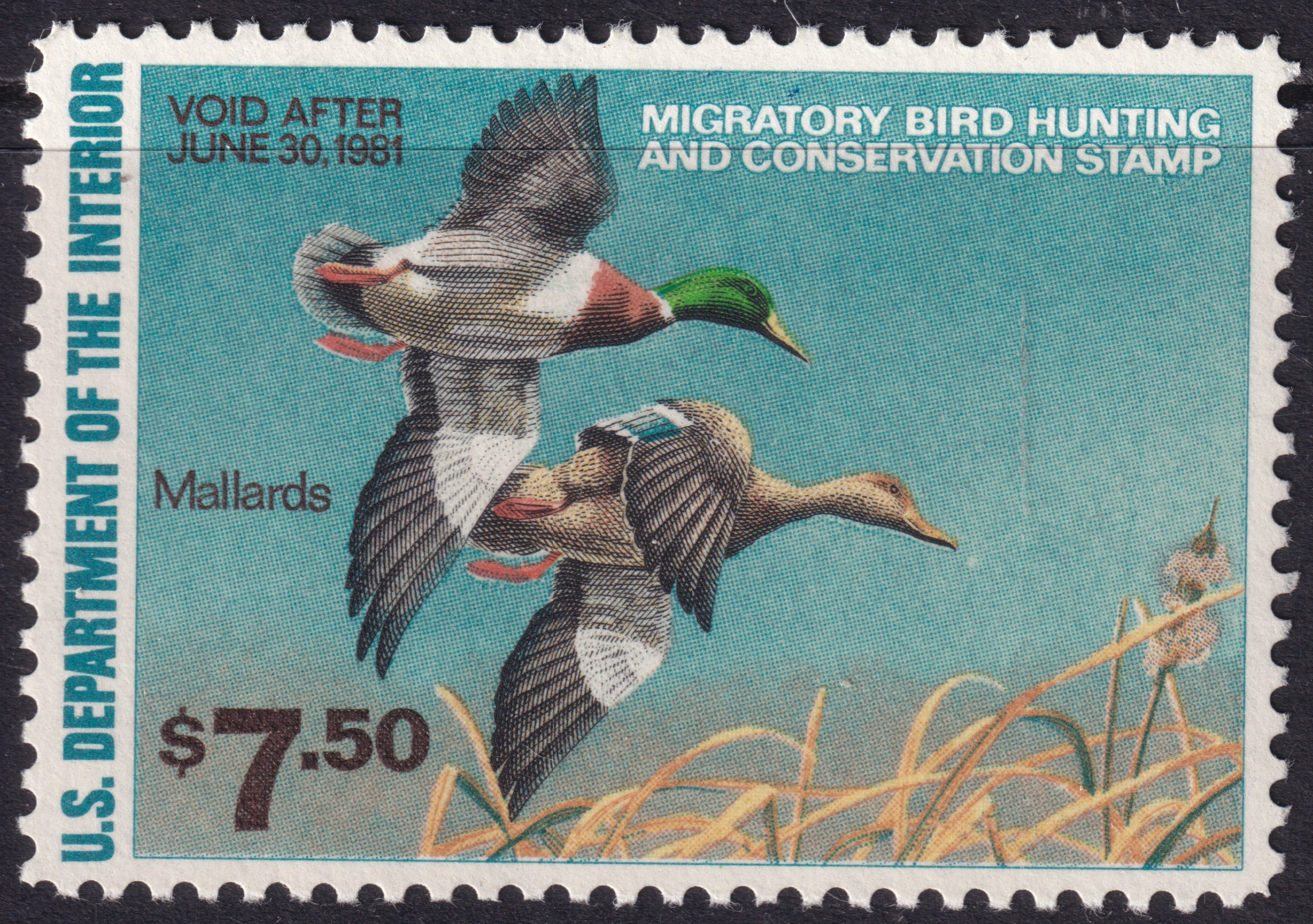 Stamp Picture