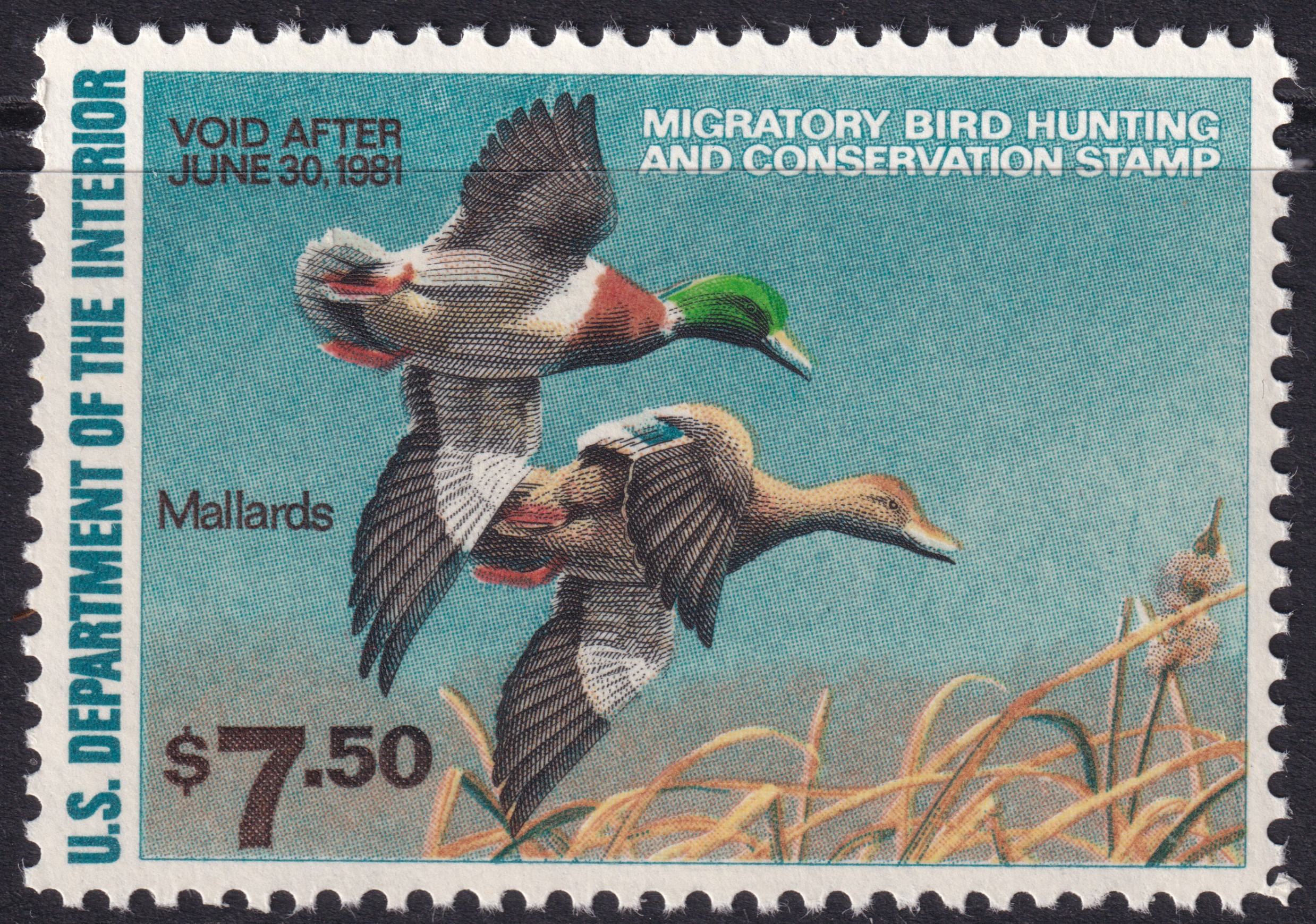 Stamp Picture