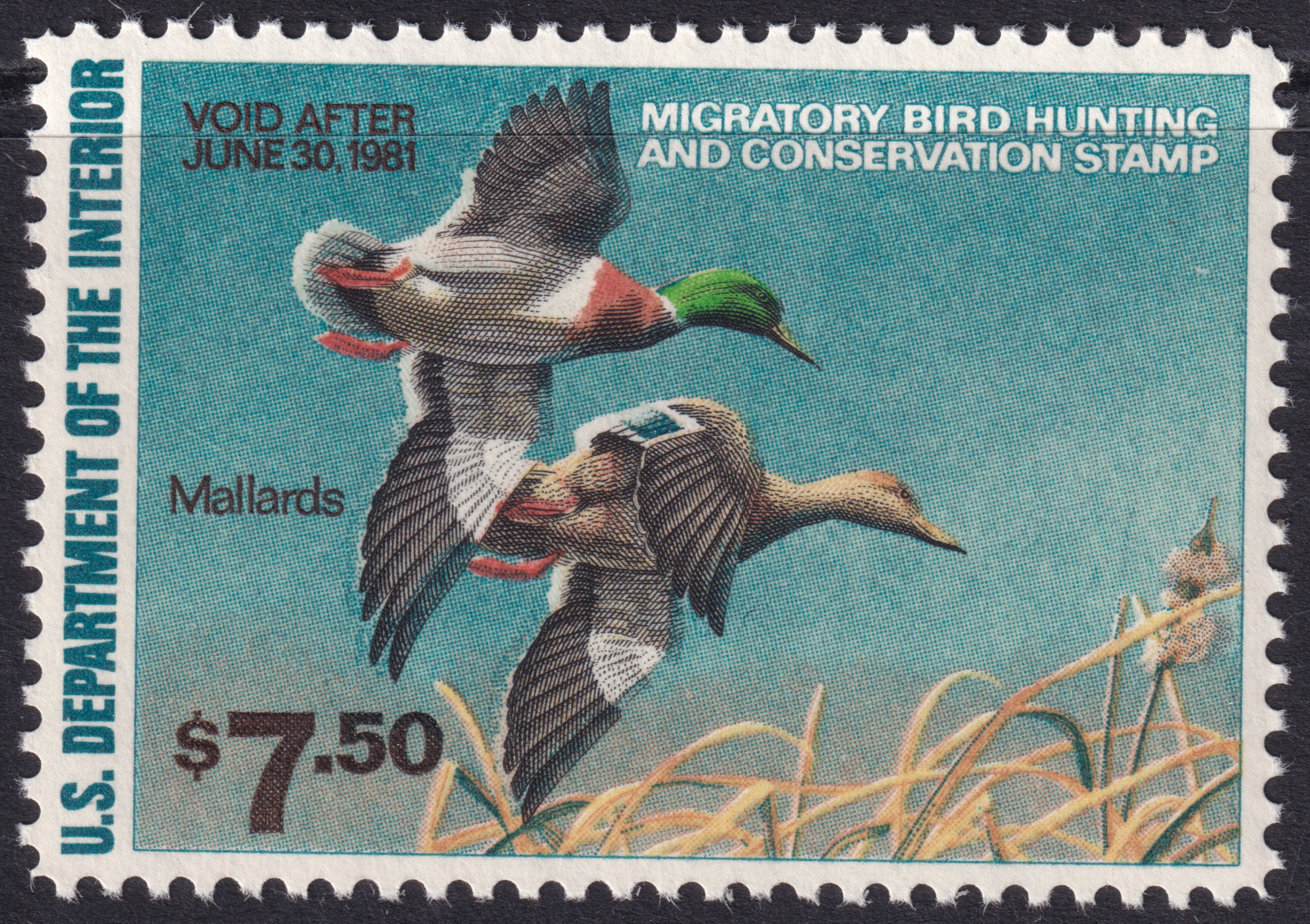 Stamp Picture