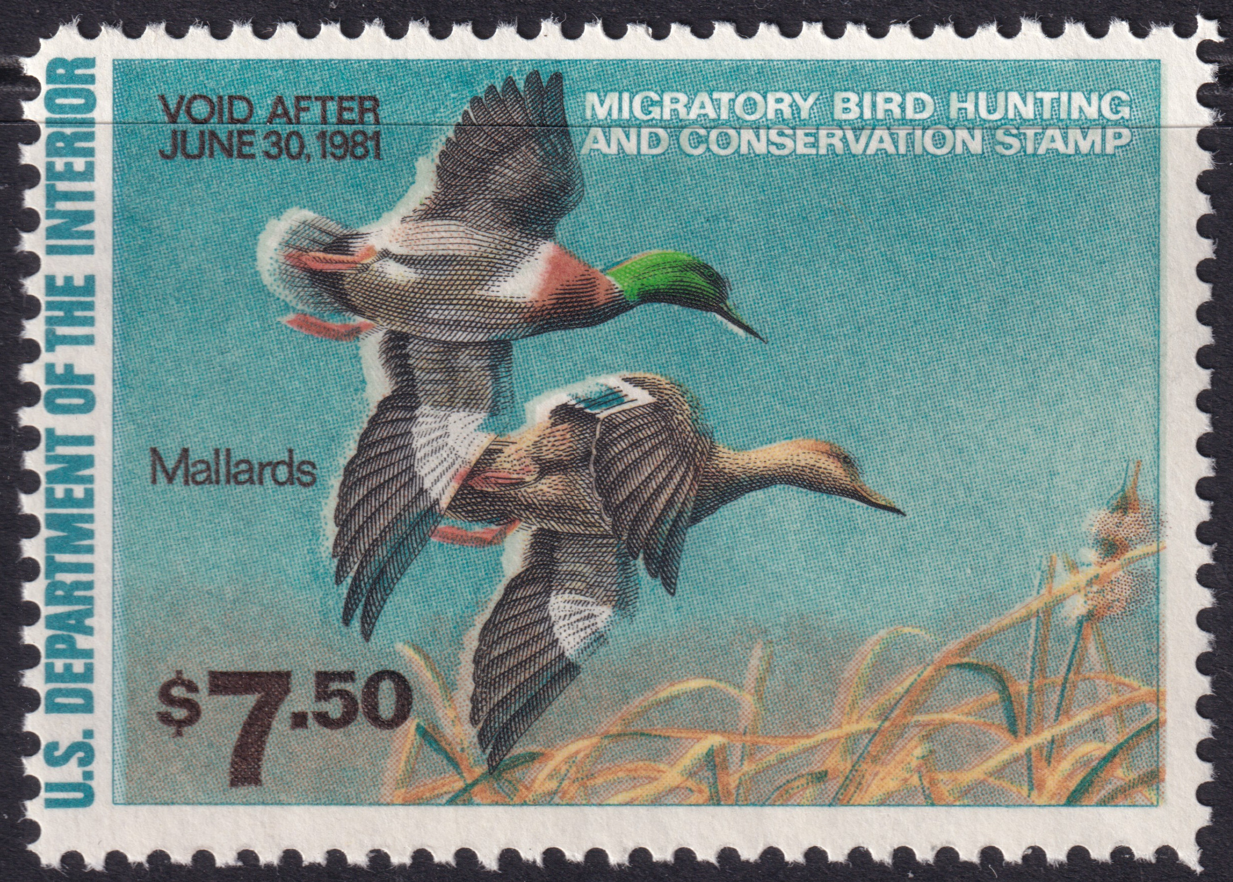 Stamp Picture