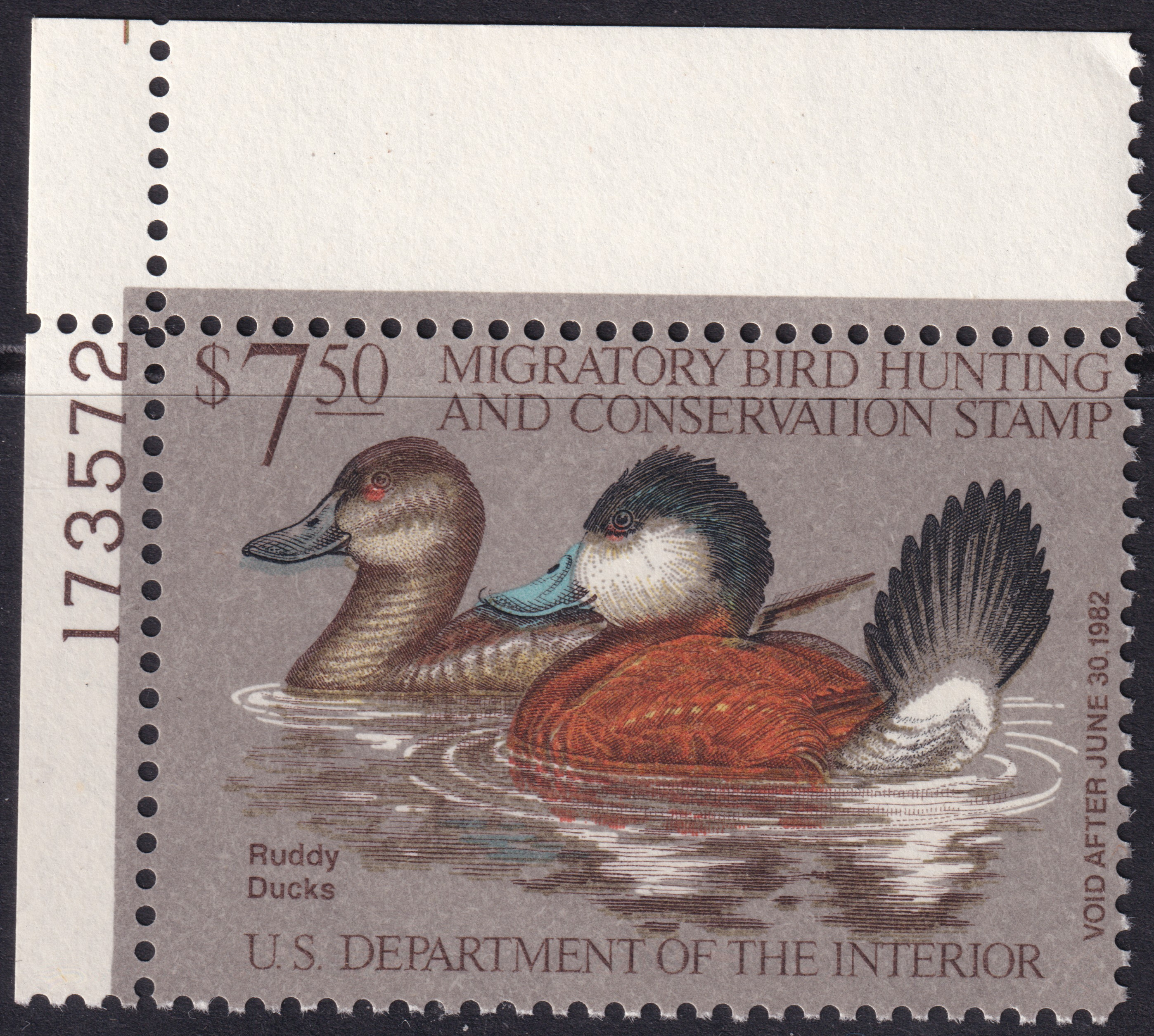 Stamp Picture