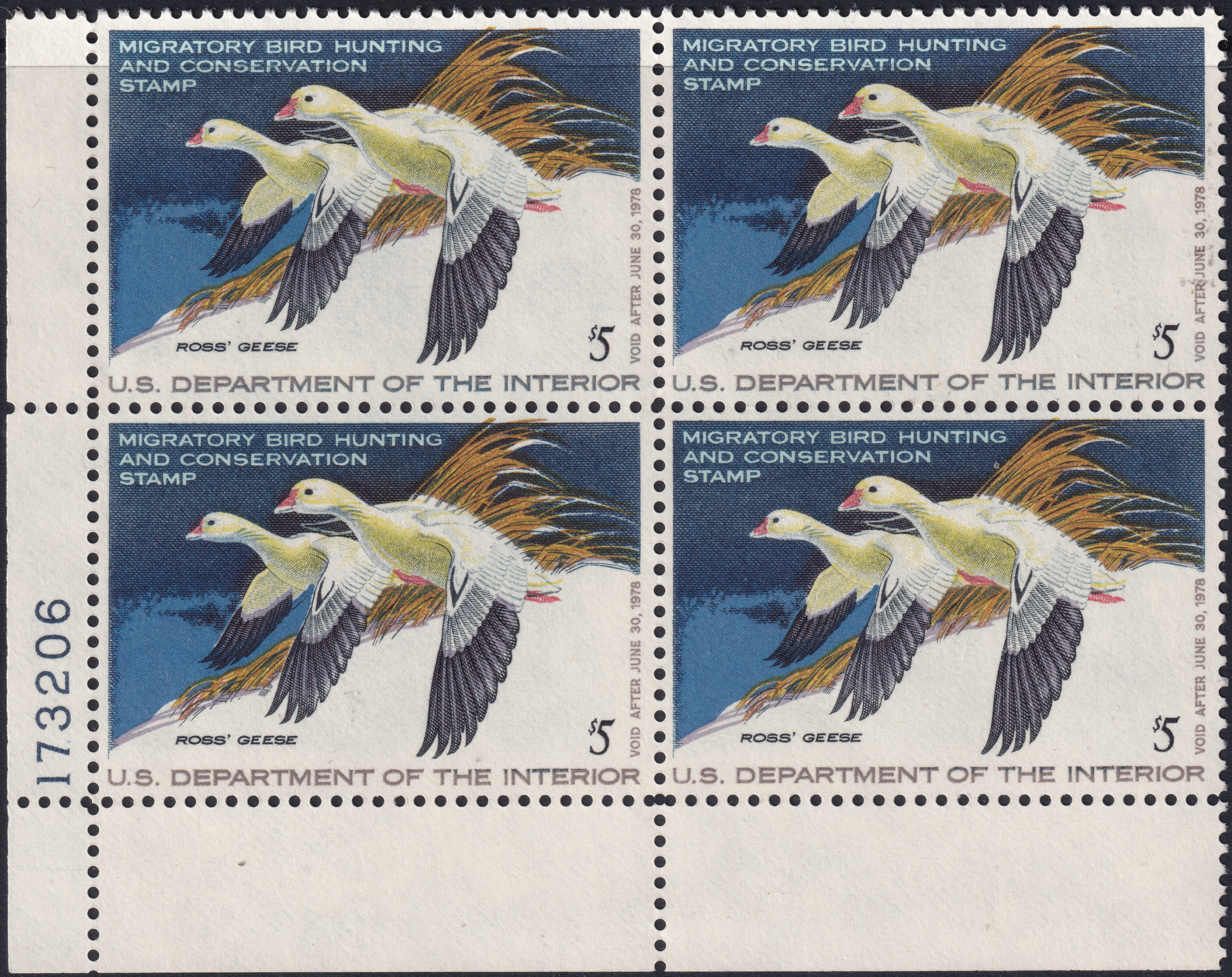 Stamp Picture