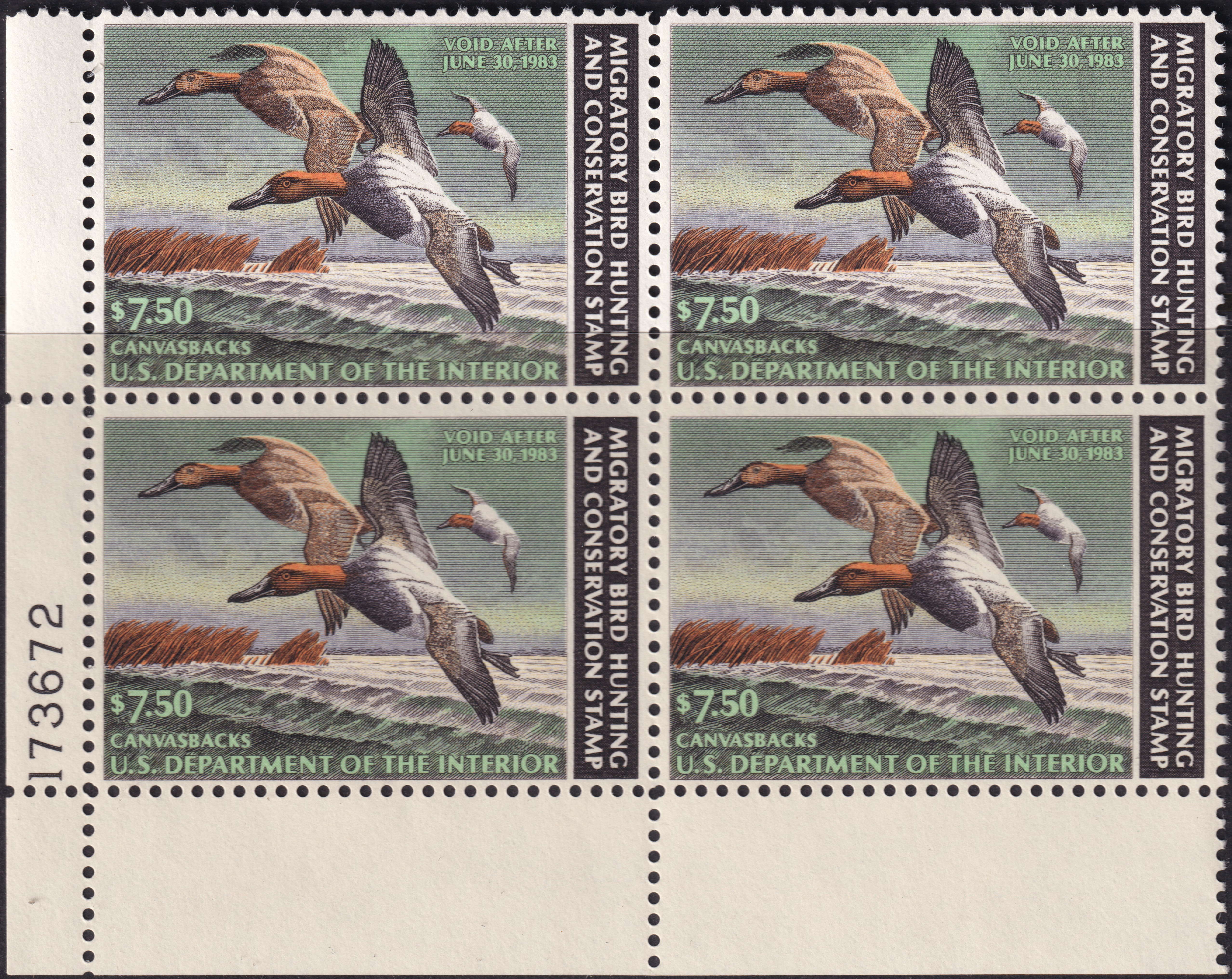 Stamp Picture