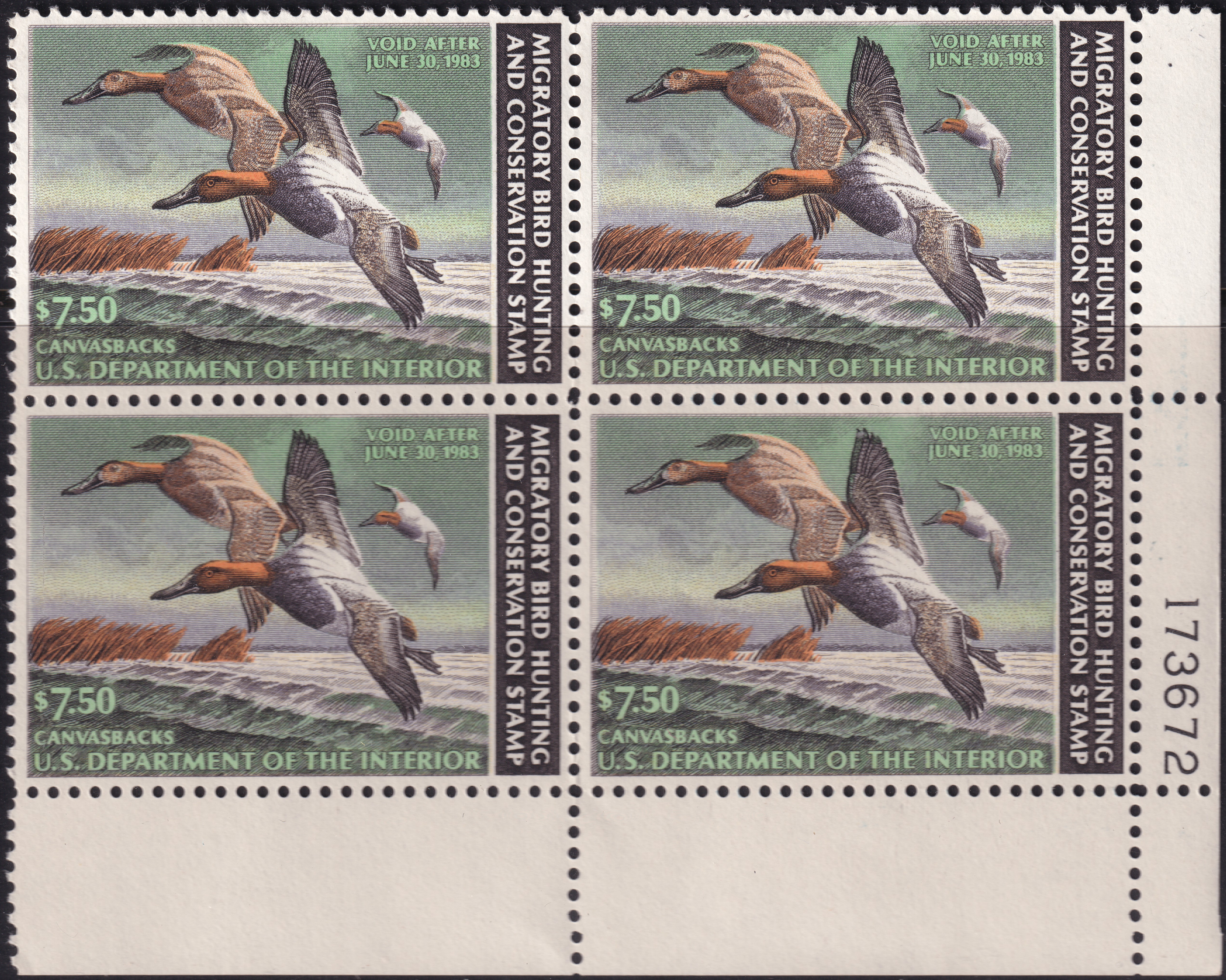 Stamp Picture