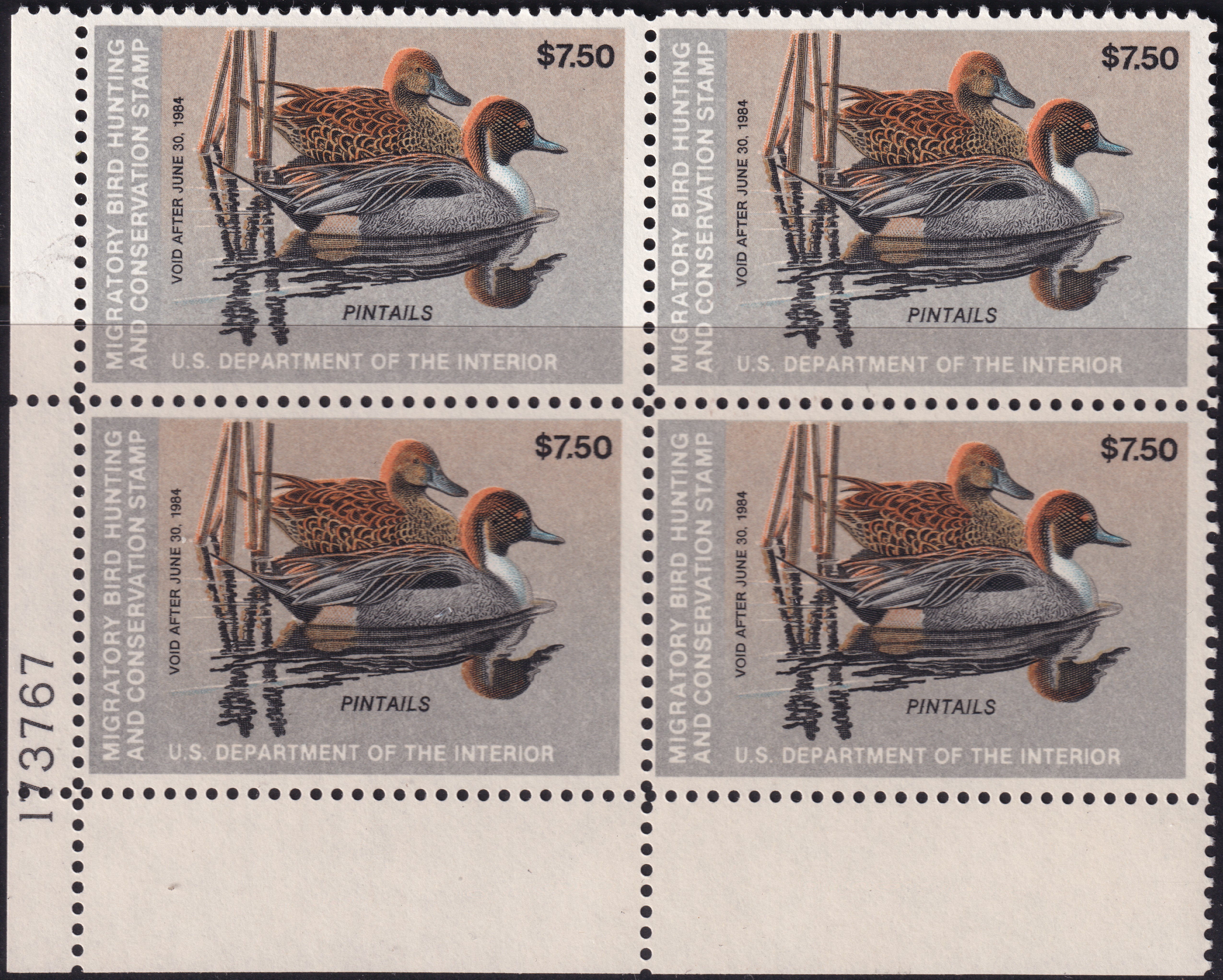 Stamp Picture