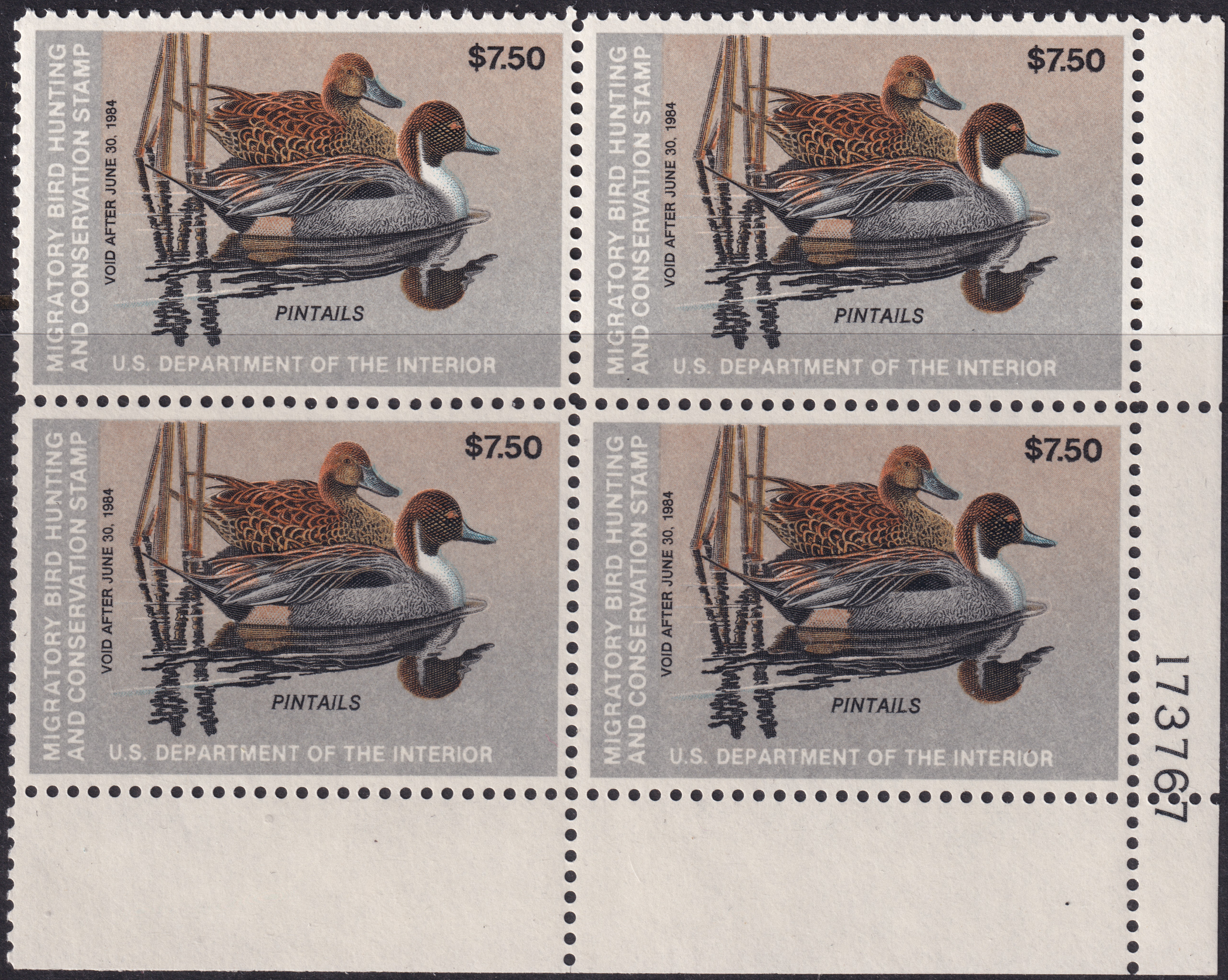 Stamp Picture