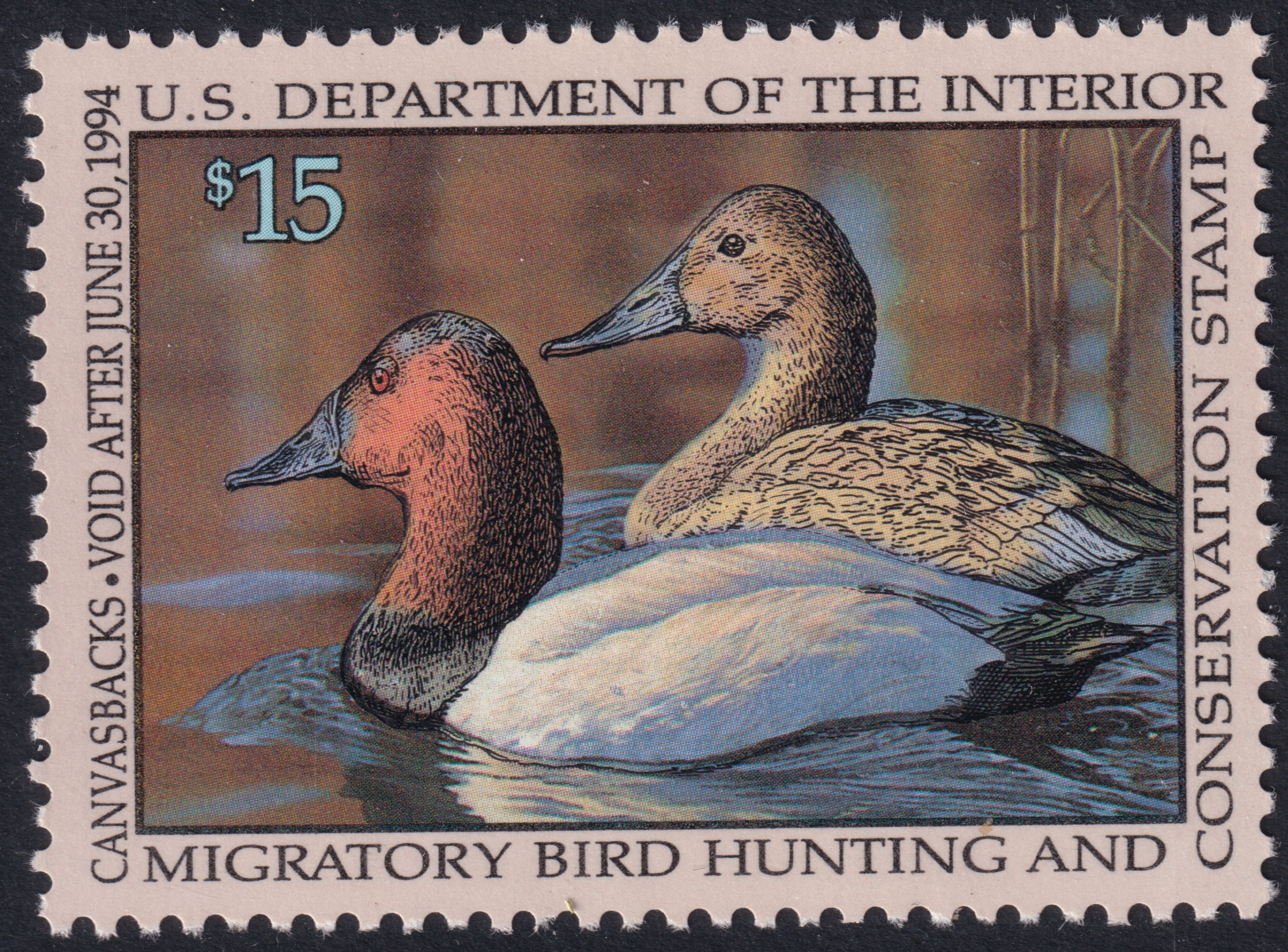 Stamp Picture