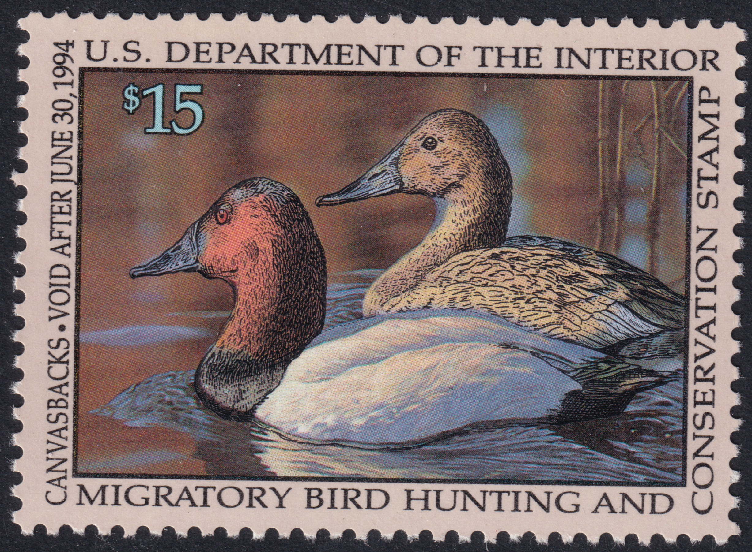 Stamp Picture