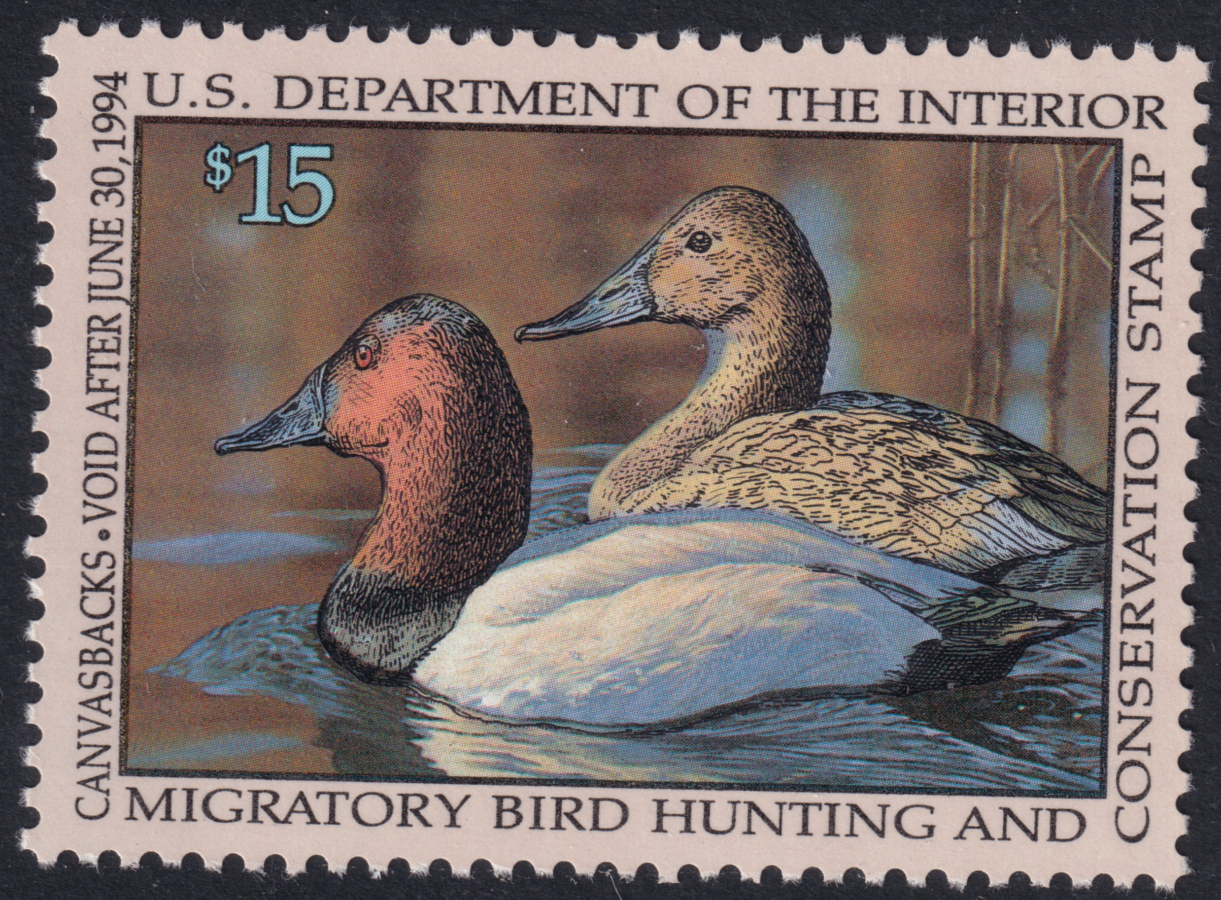 Stamp Picture