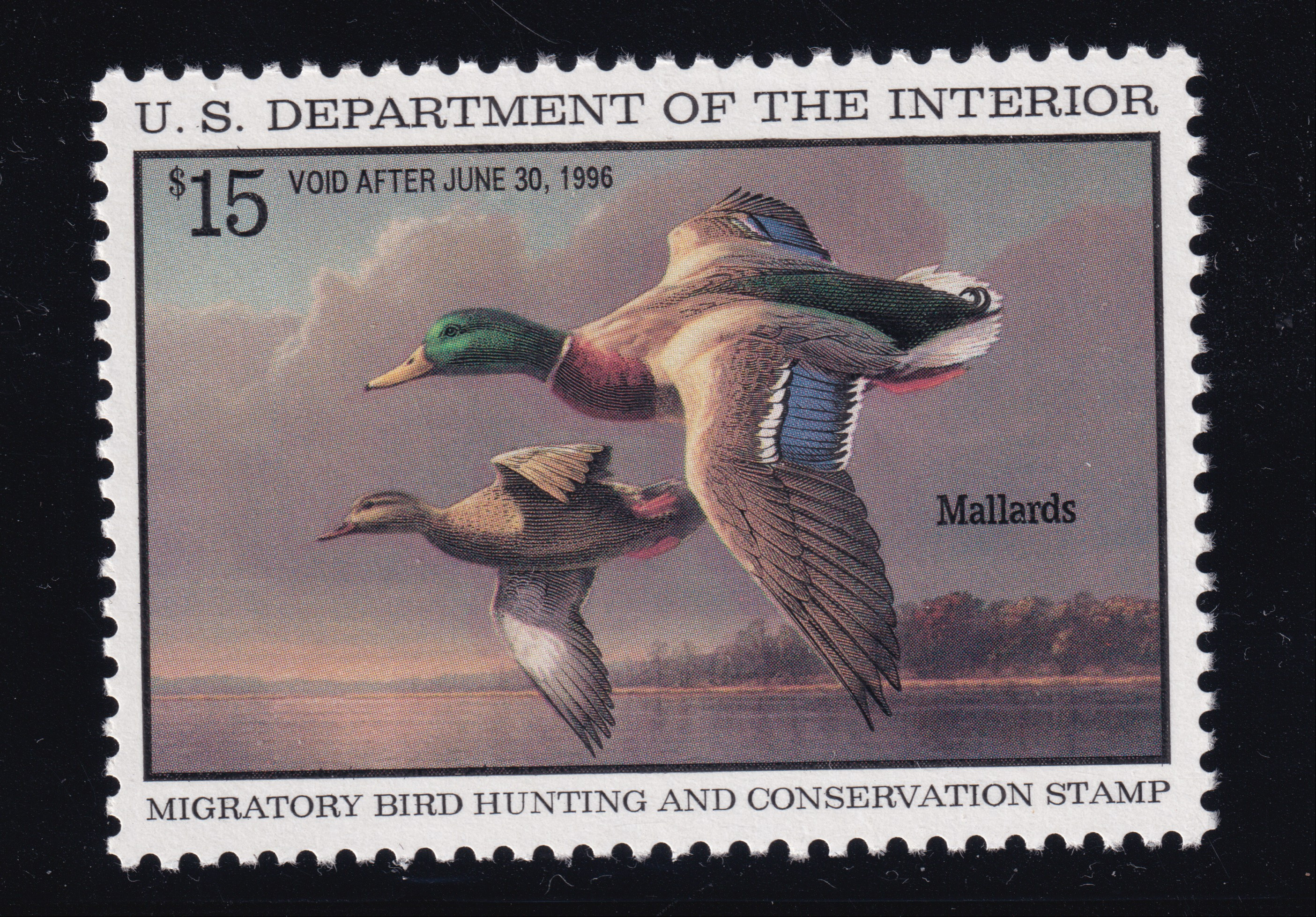Stamp Picture