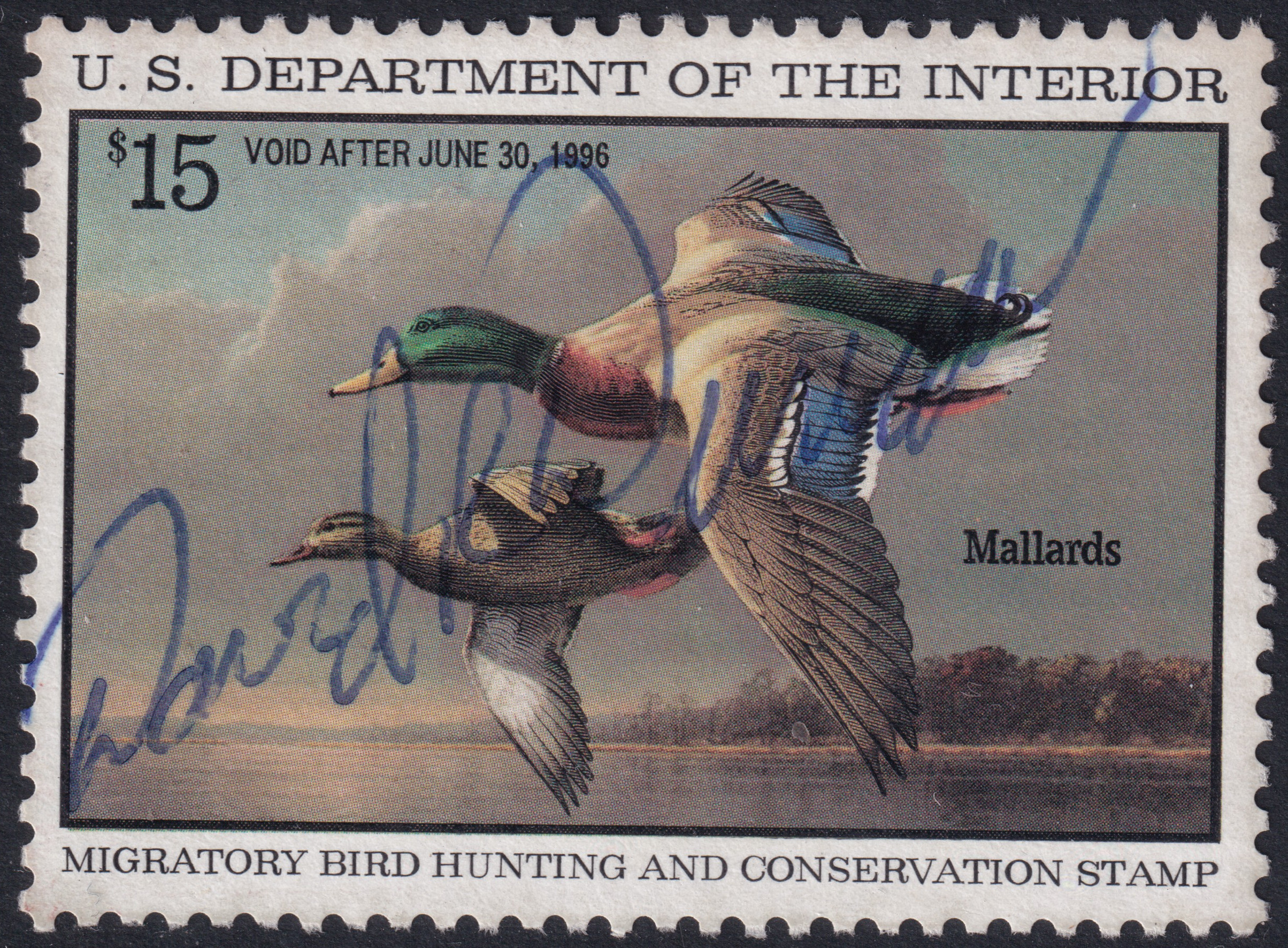 Stamp Picture
