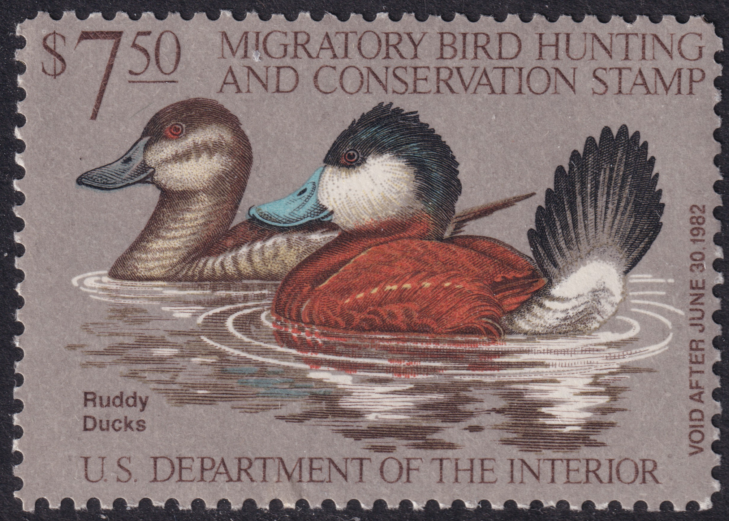 Stamp Picture