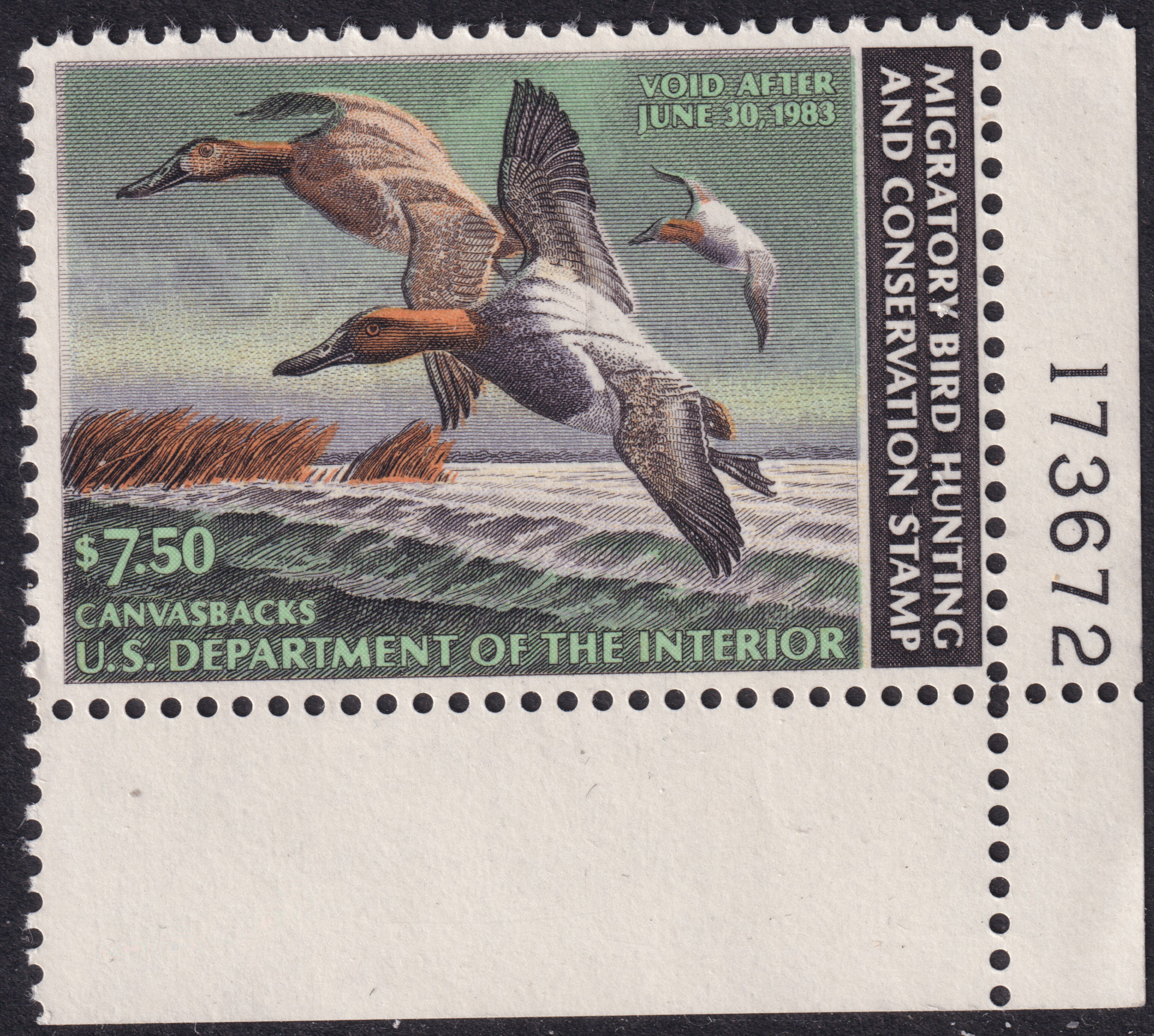 Stamp Picture