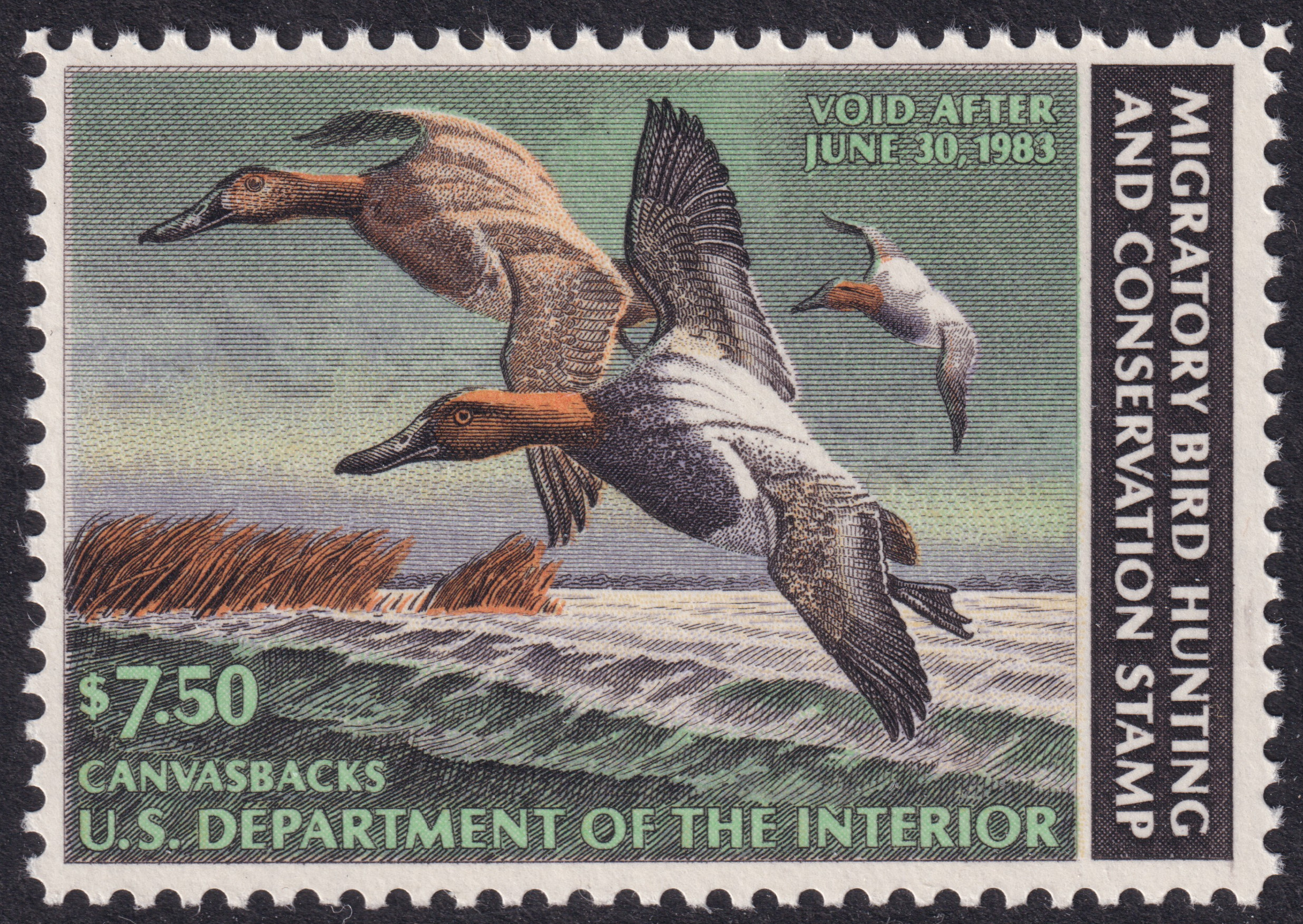 Stamp Picture