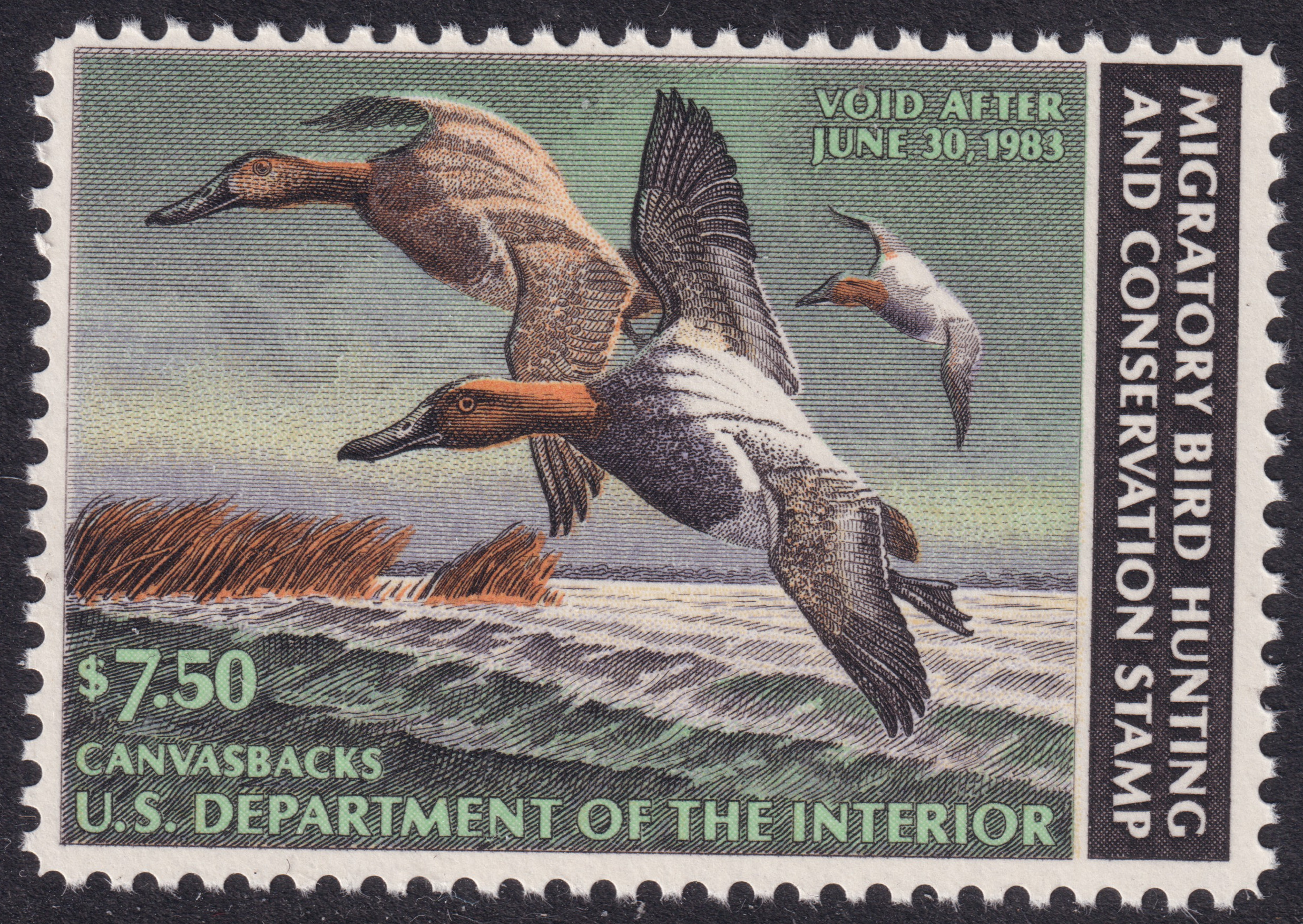 Stamp Picture