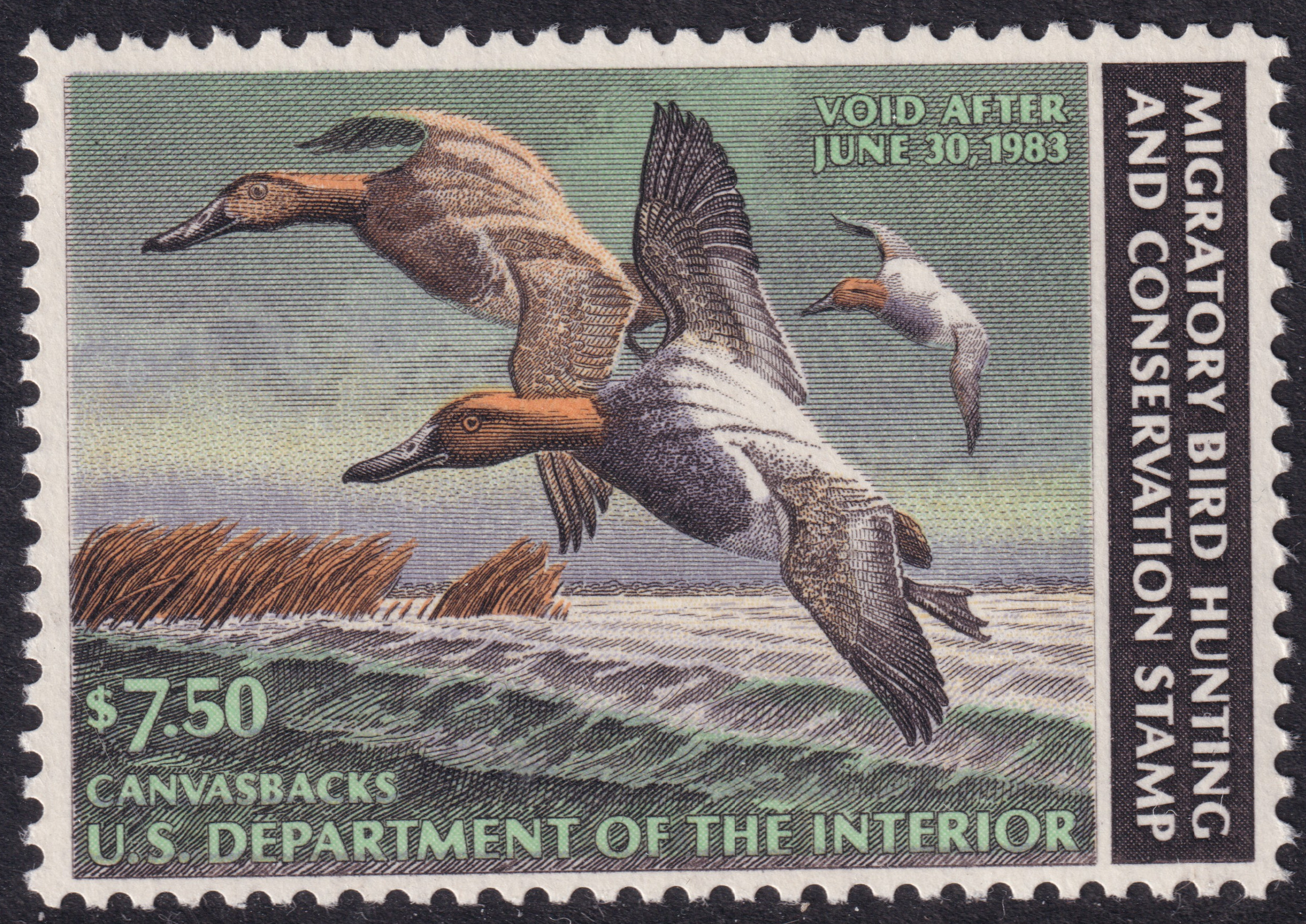Stamp Picture