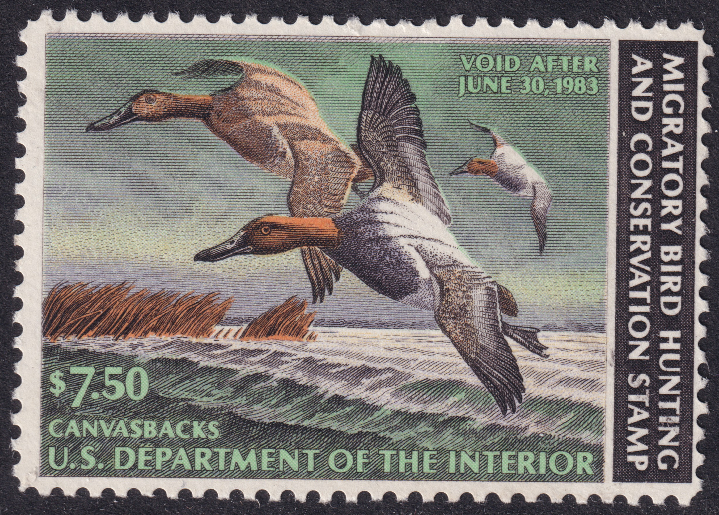Stamp Picture