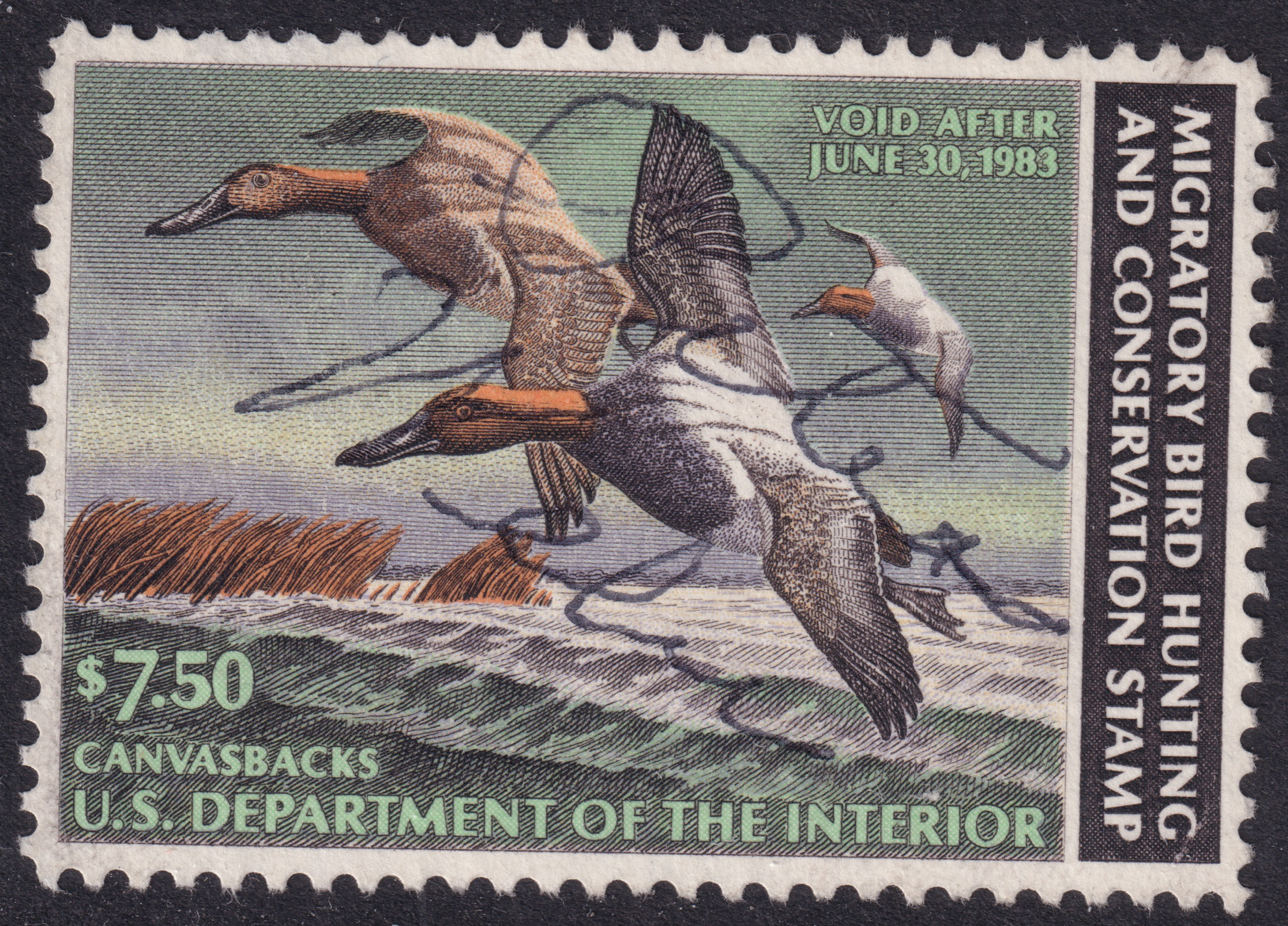 Stamp Picture