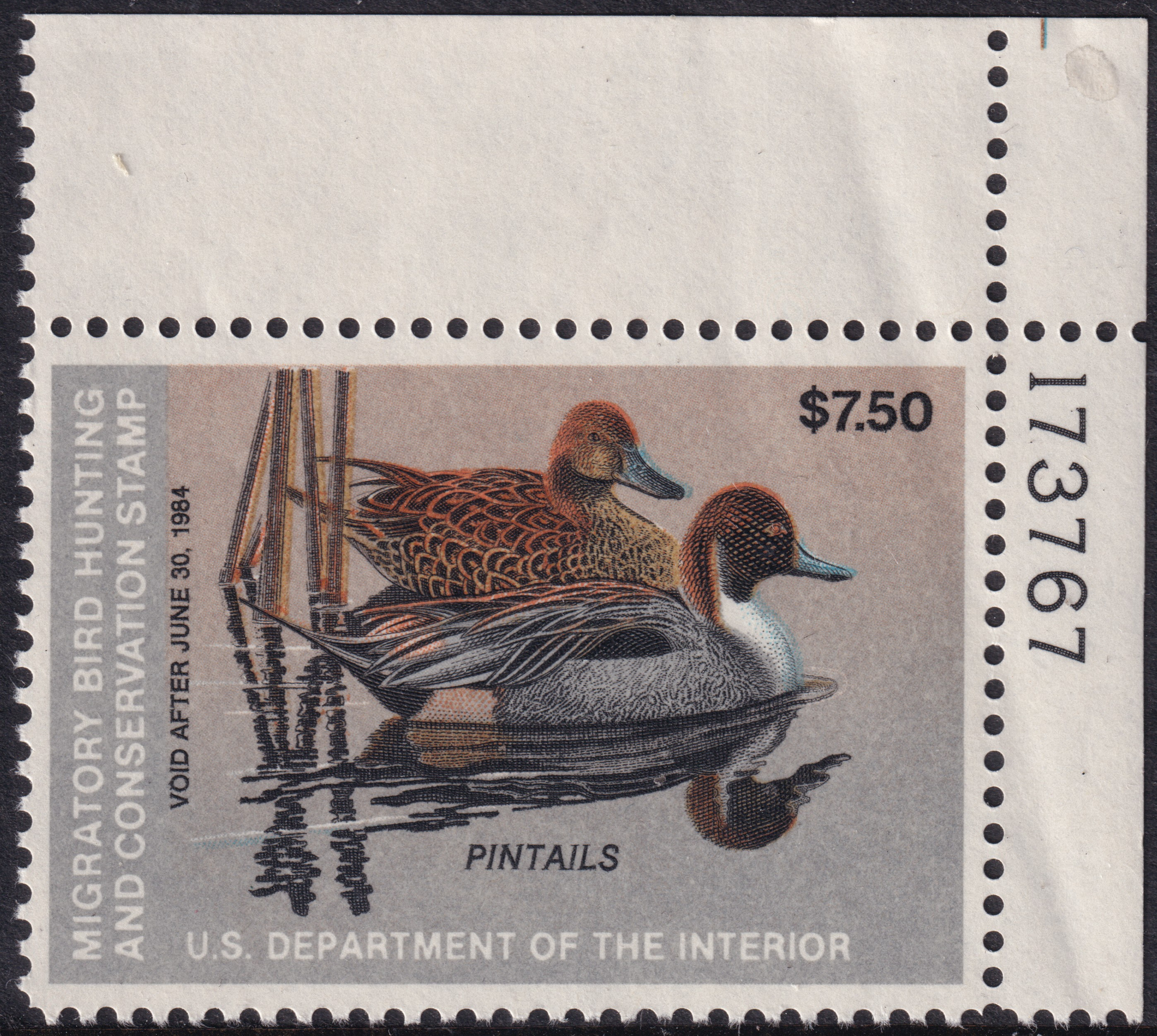 Stamp Picture
