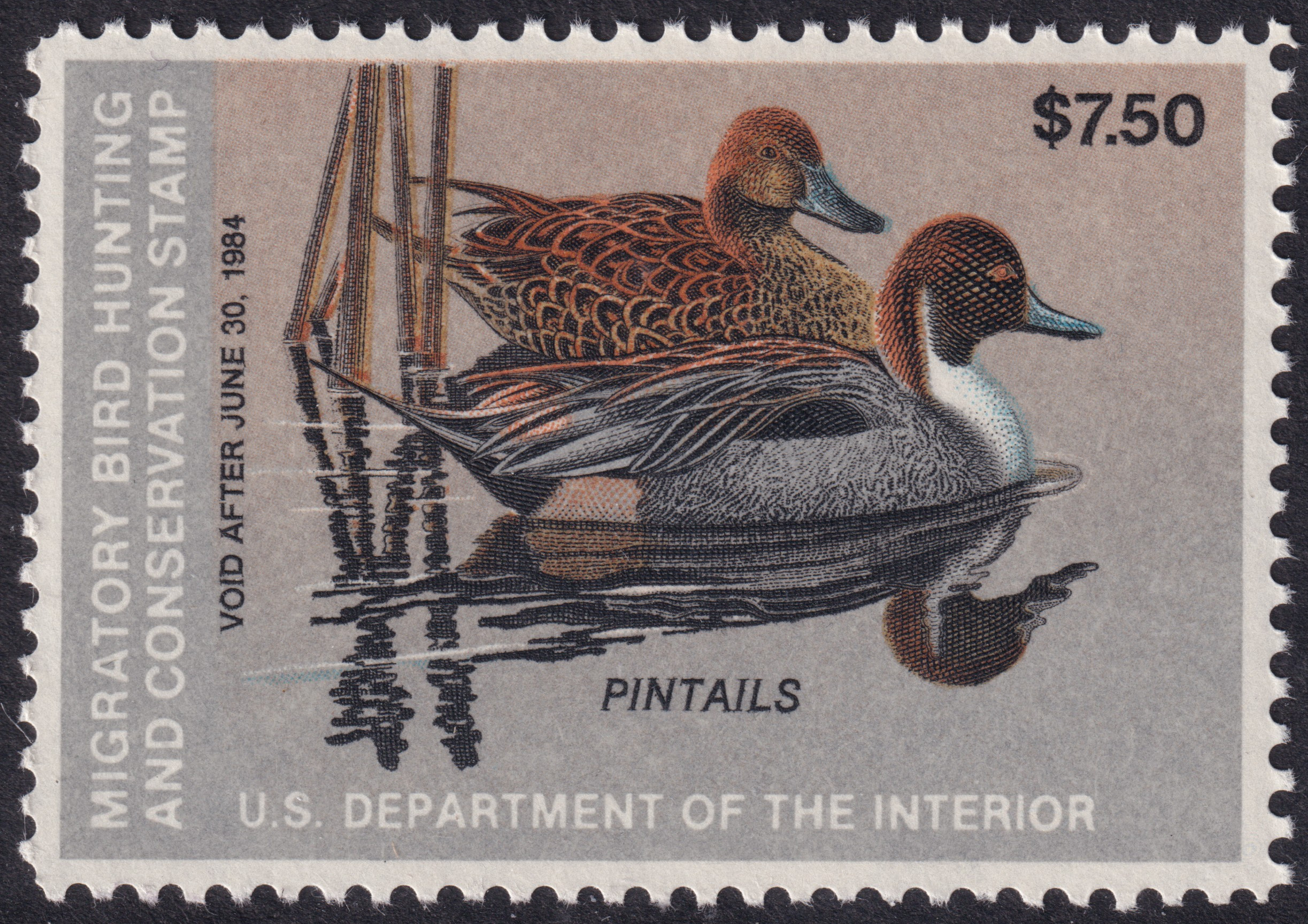 Stamp Picture