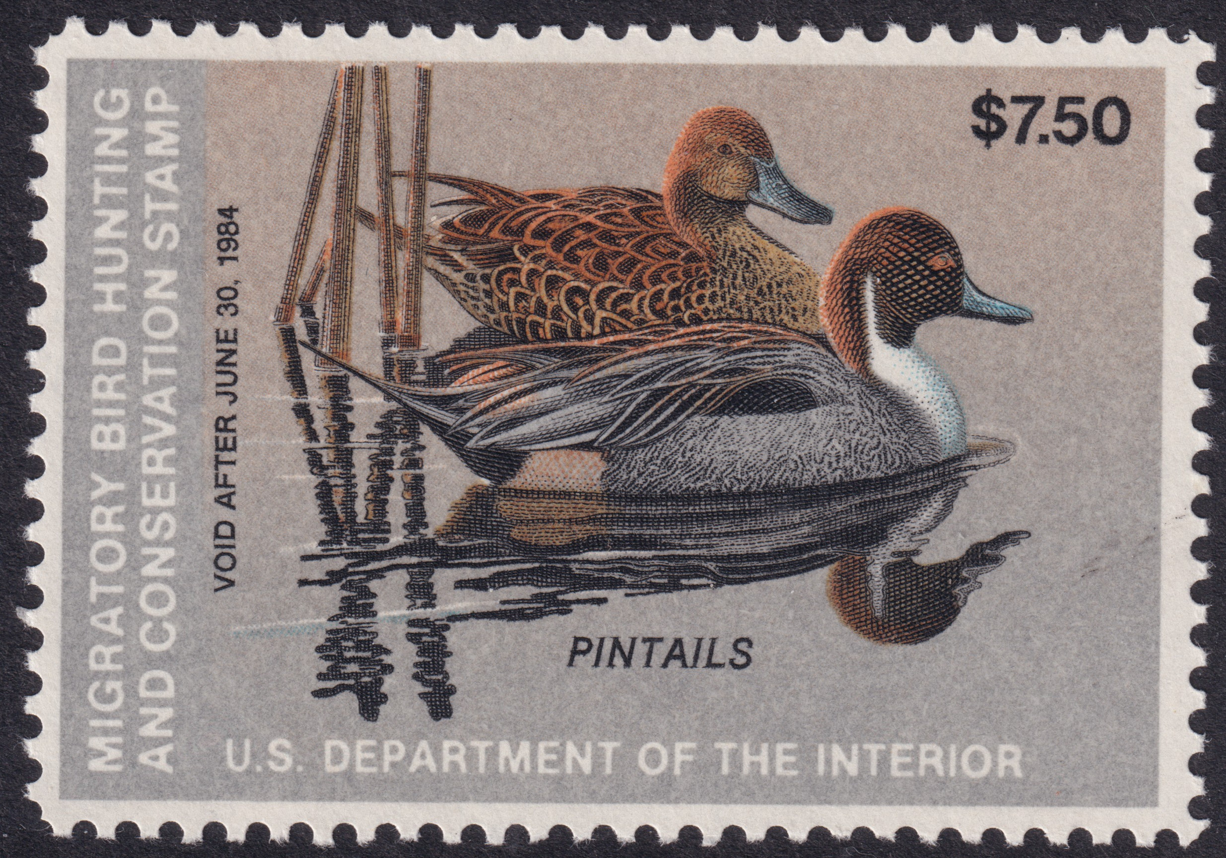 Stamp Picture