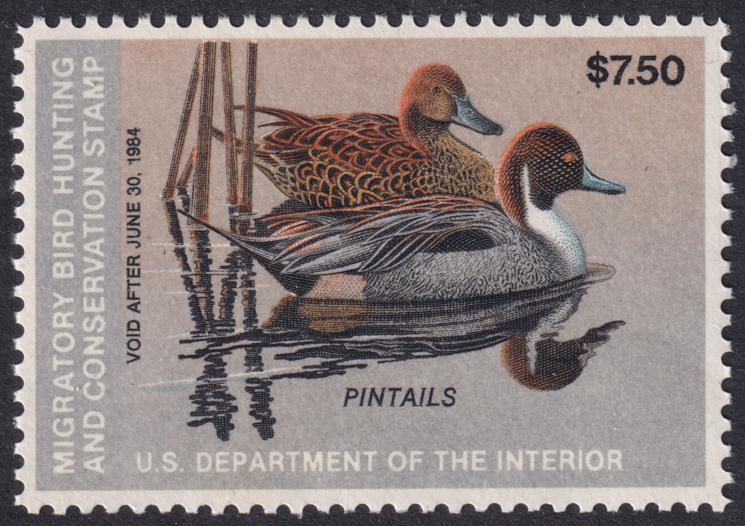 Stamp Picture