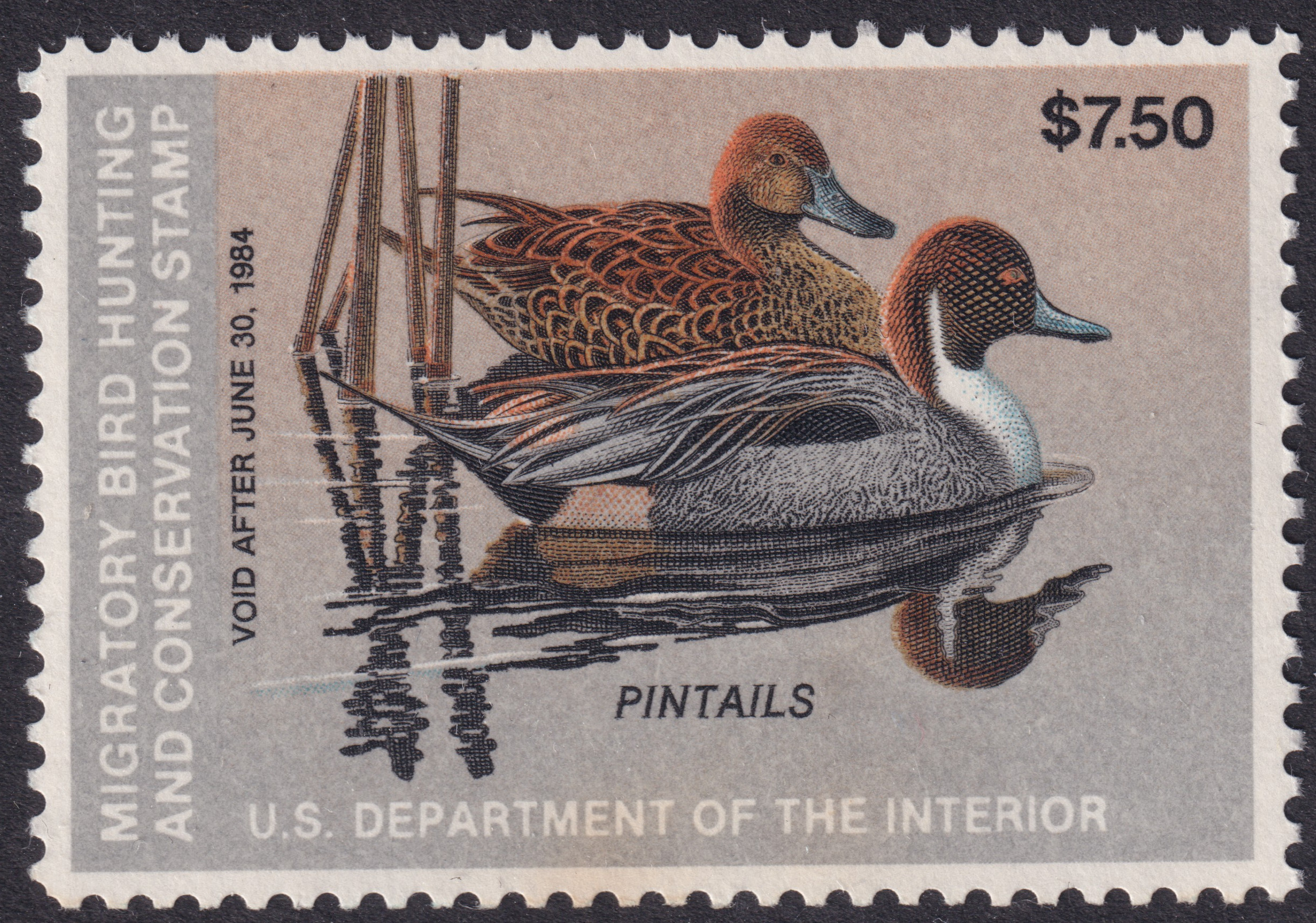 Stamp Picture