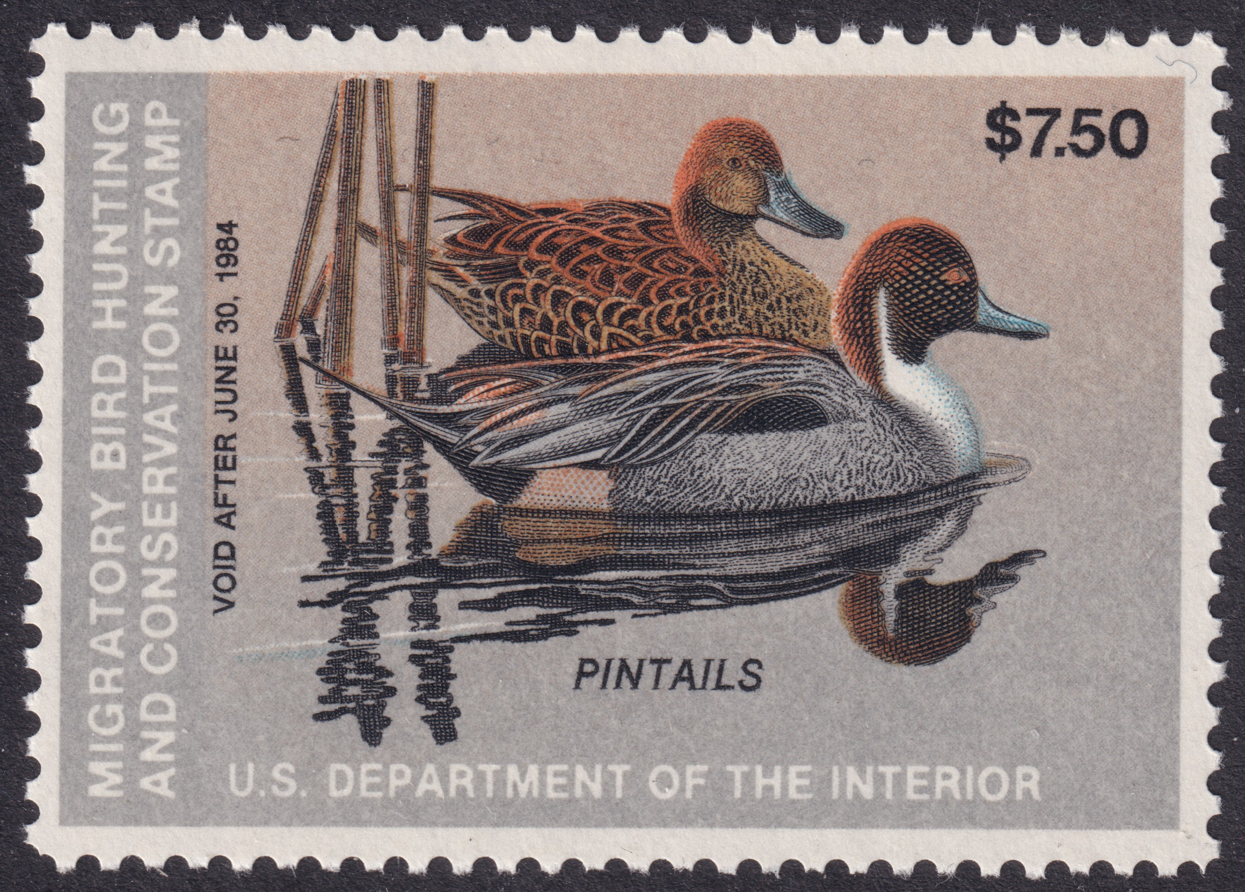Stamp Picture