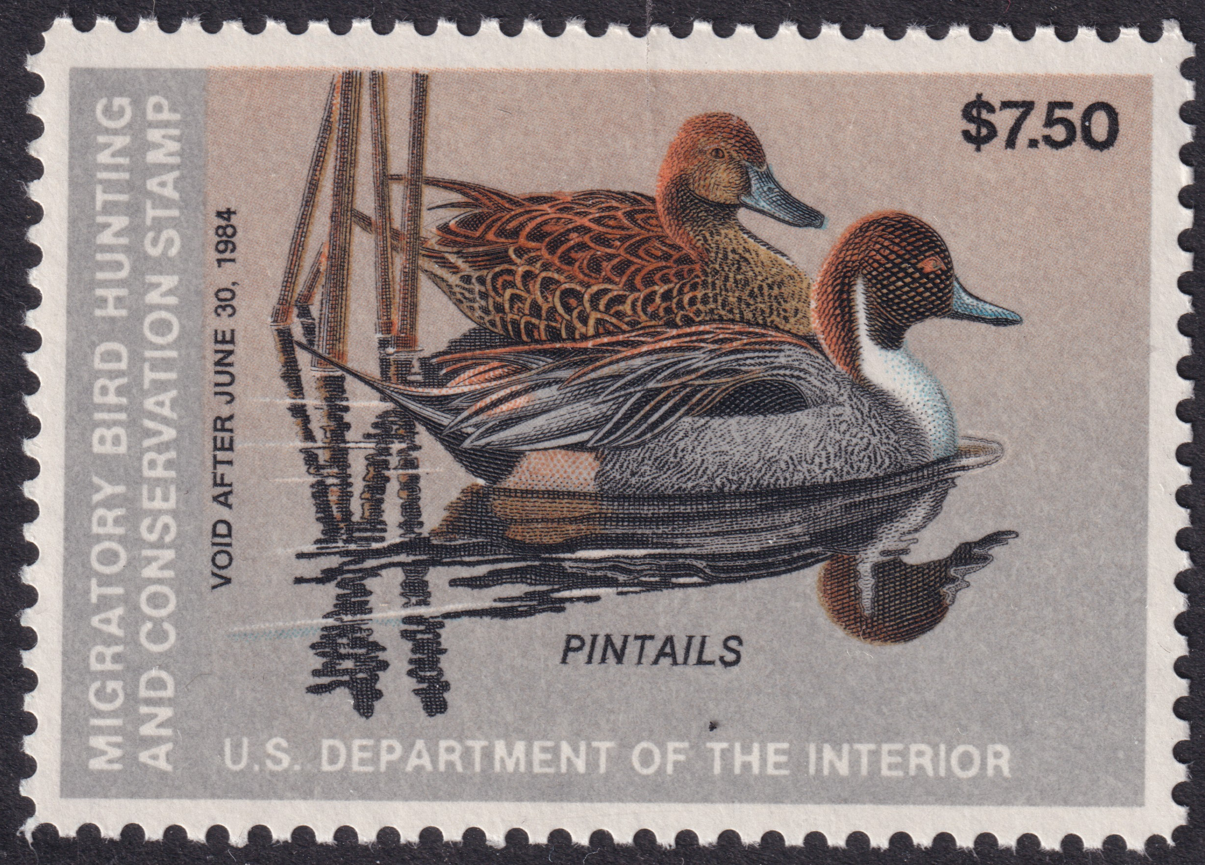 Stamp Picture