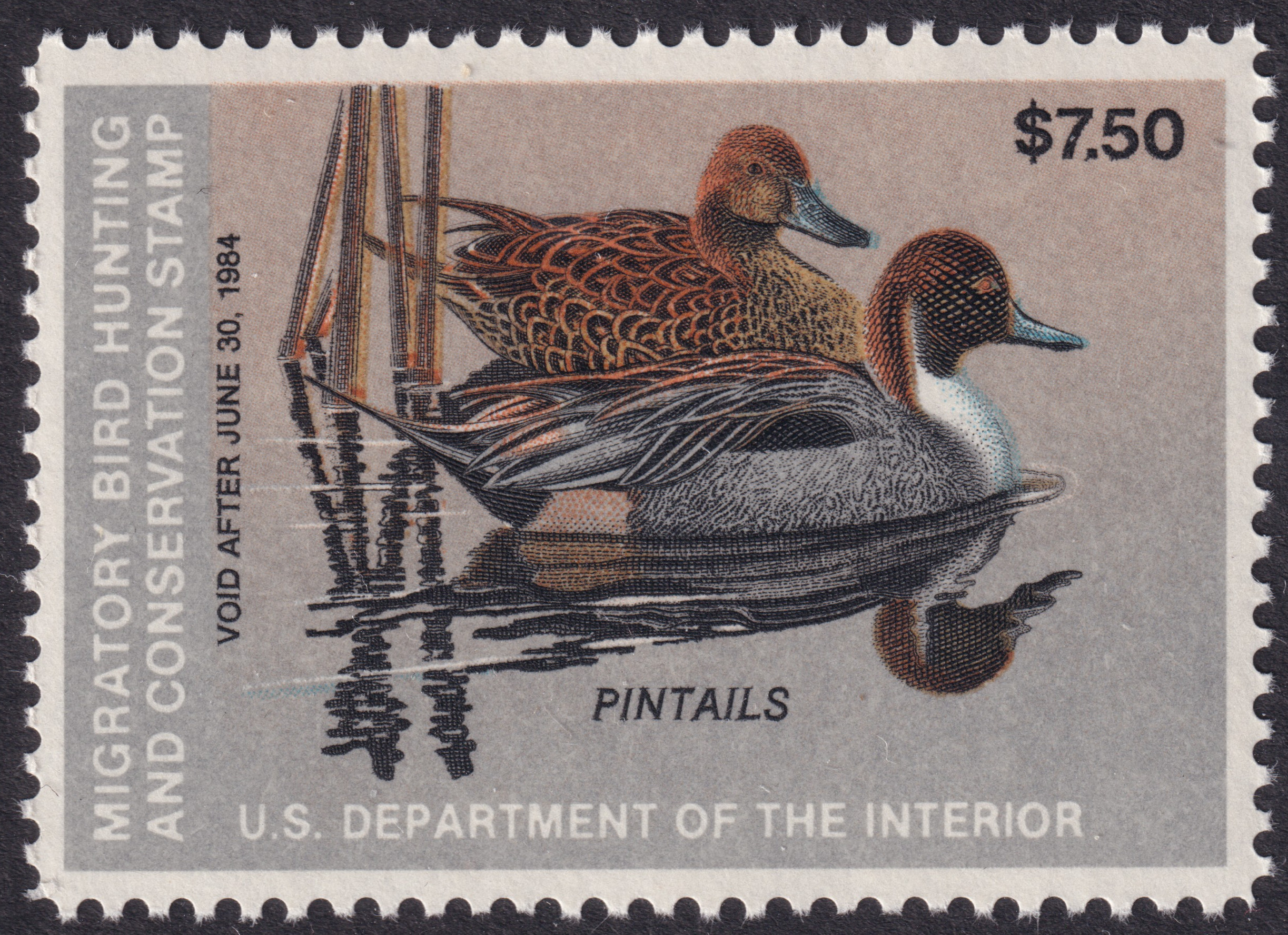 Stamp Picture