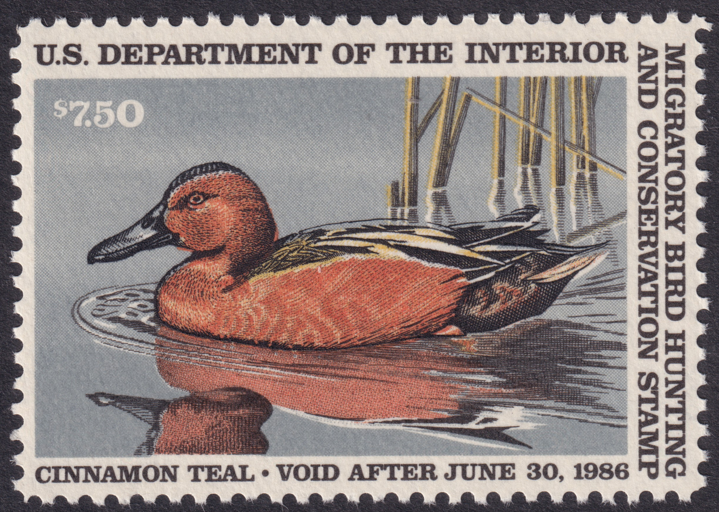 Stamp Picture