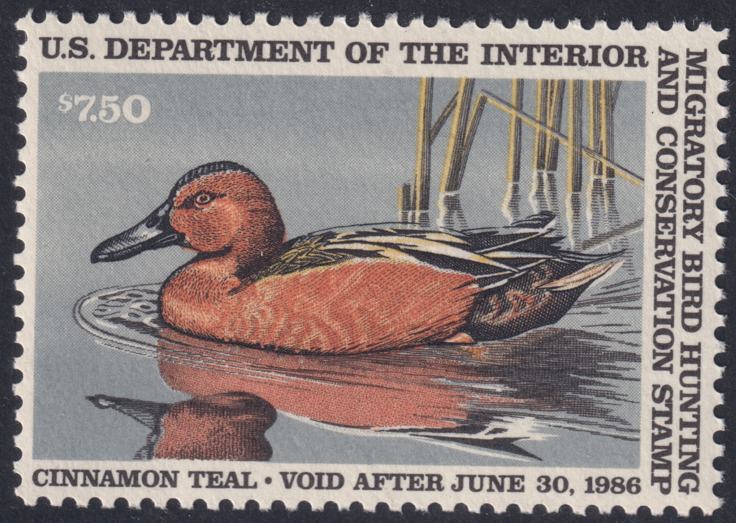 Stamp Picture