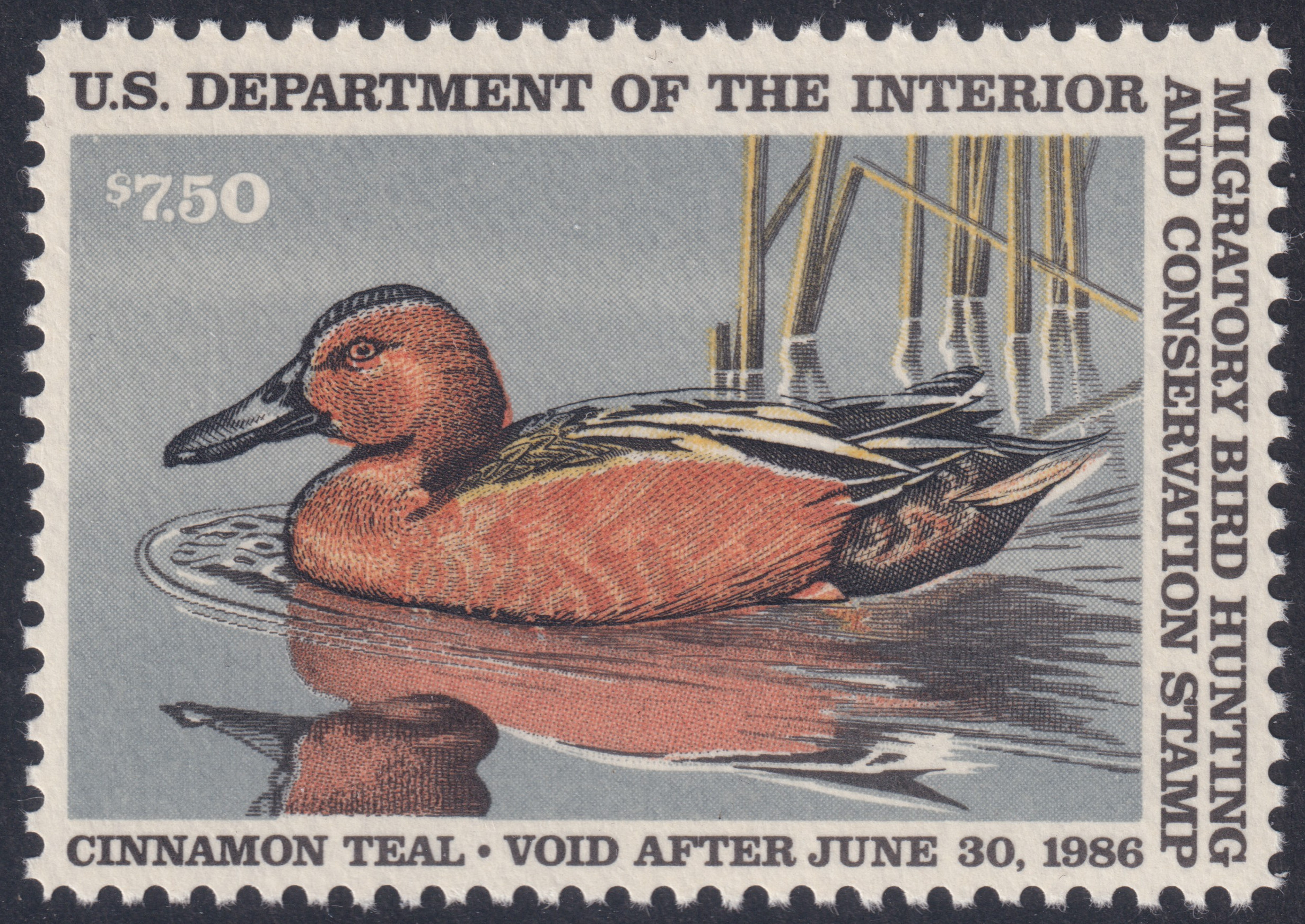 Stamp Picture
