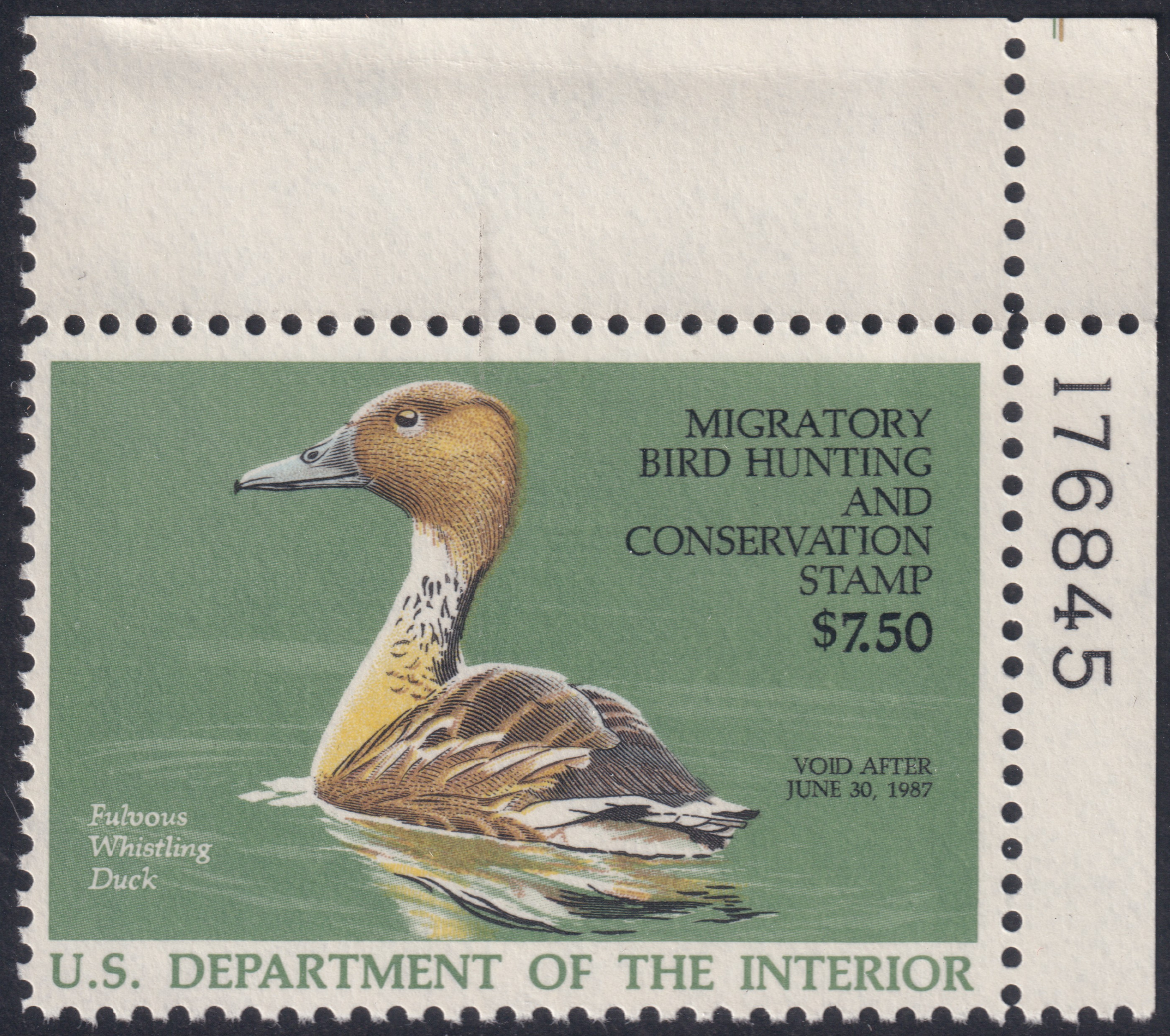 Stamp Picture