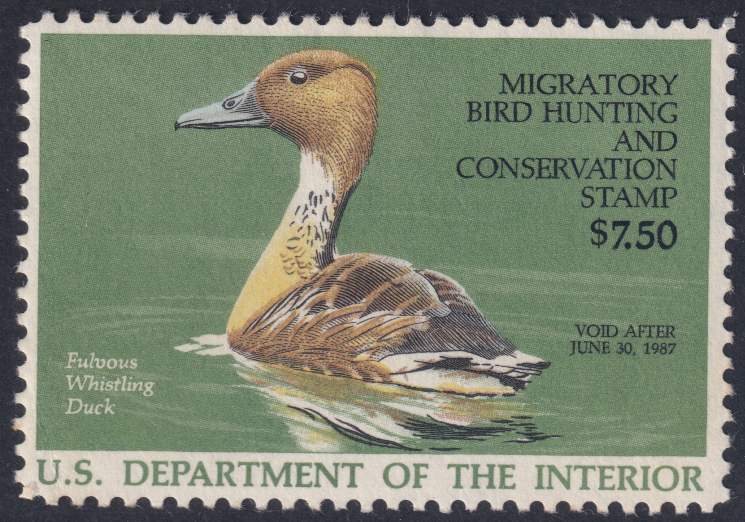 Stamp Picture