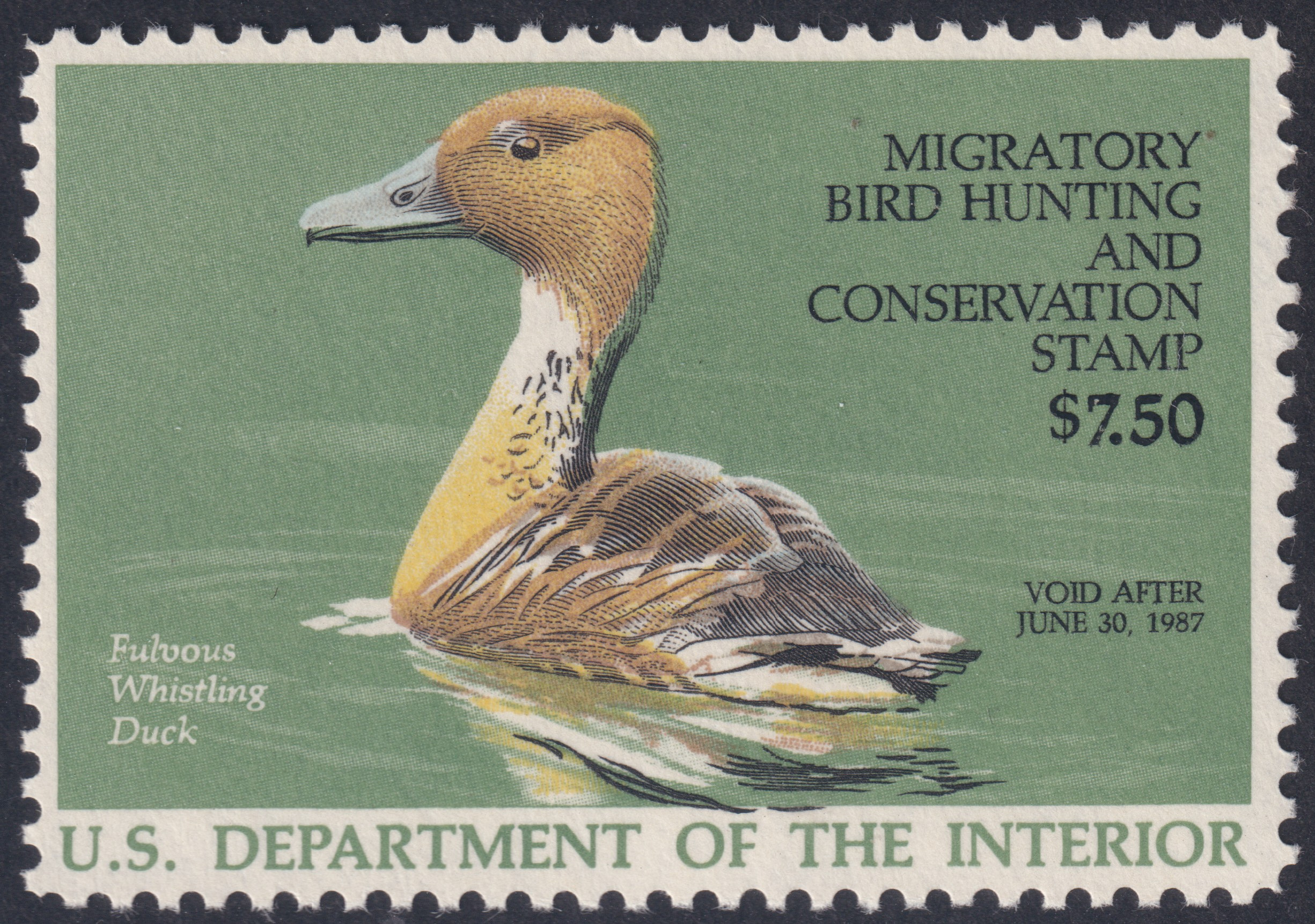 Stamp Picture