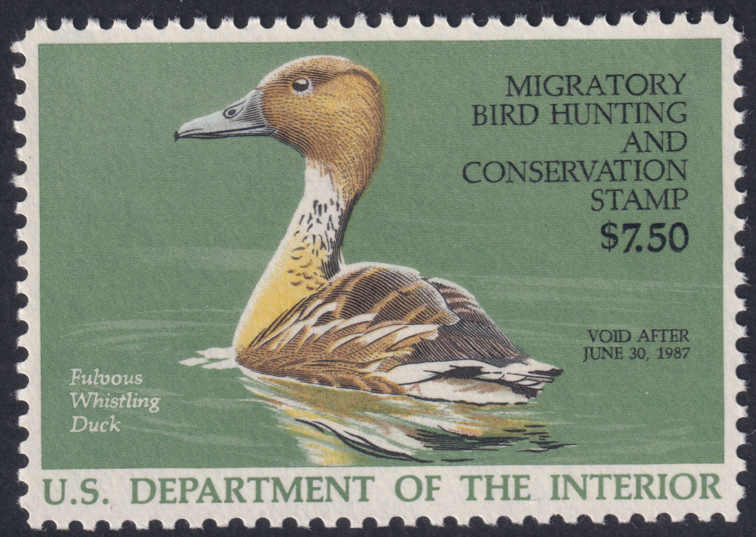 Stamp Picture