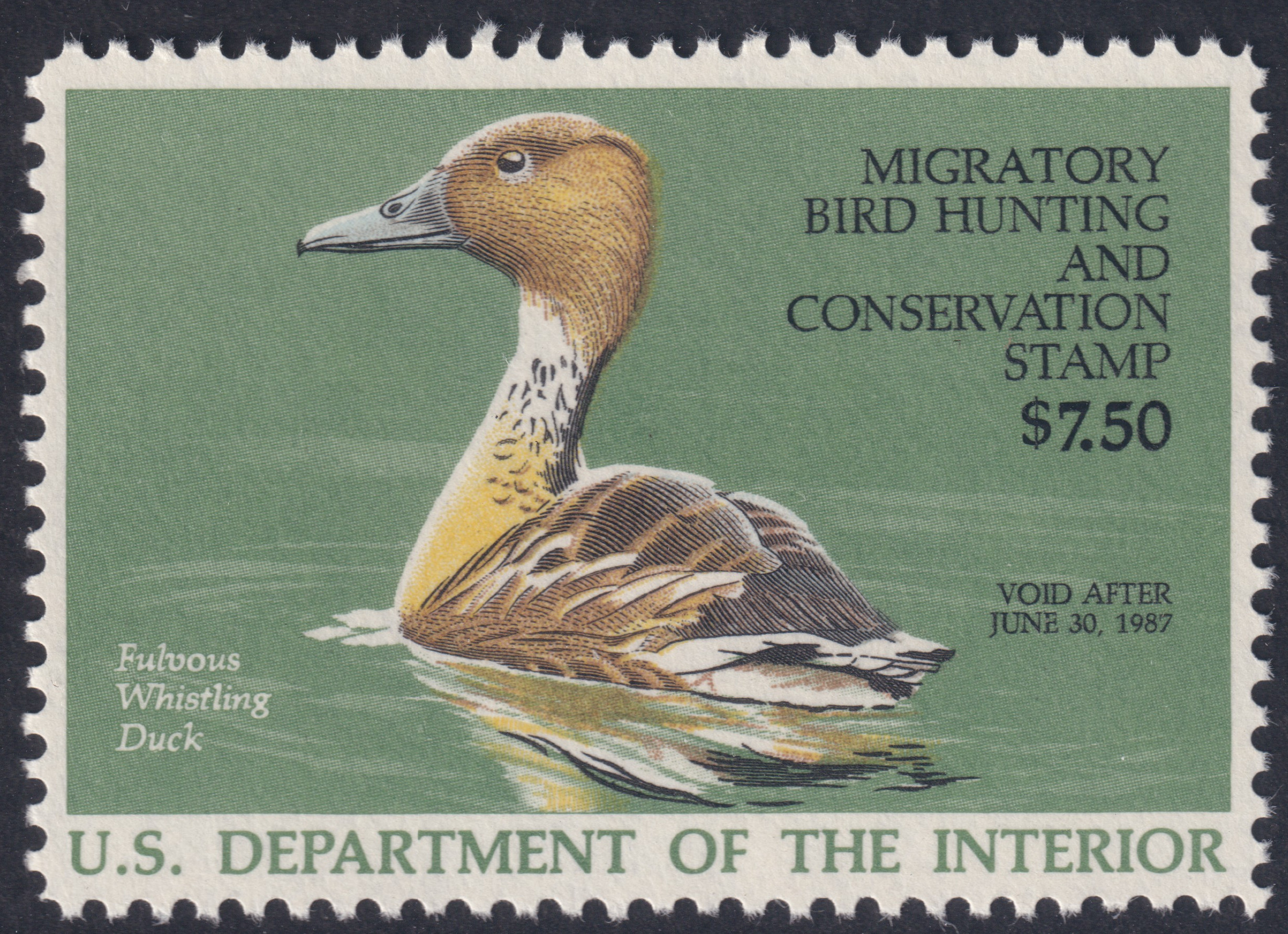 Stamp Picture