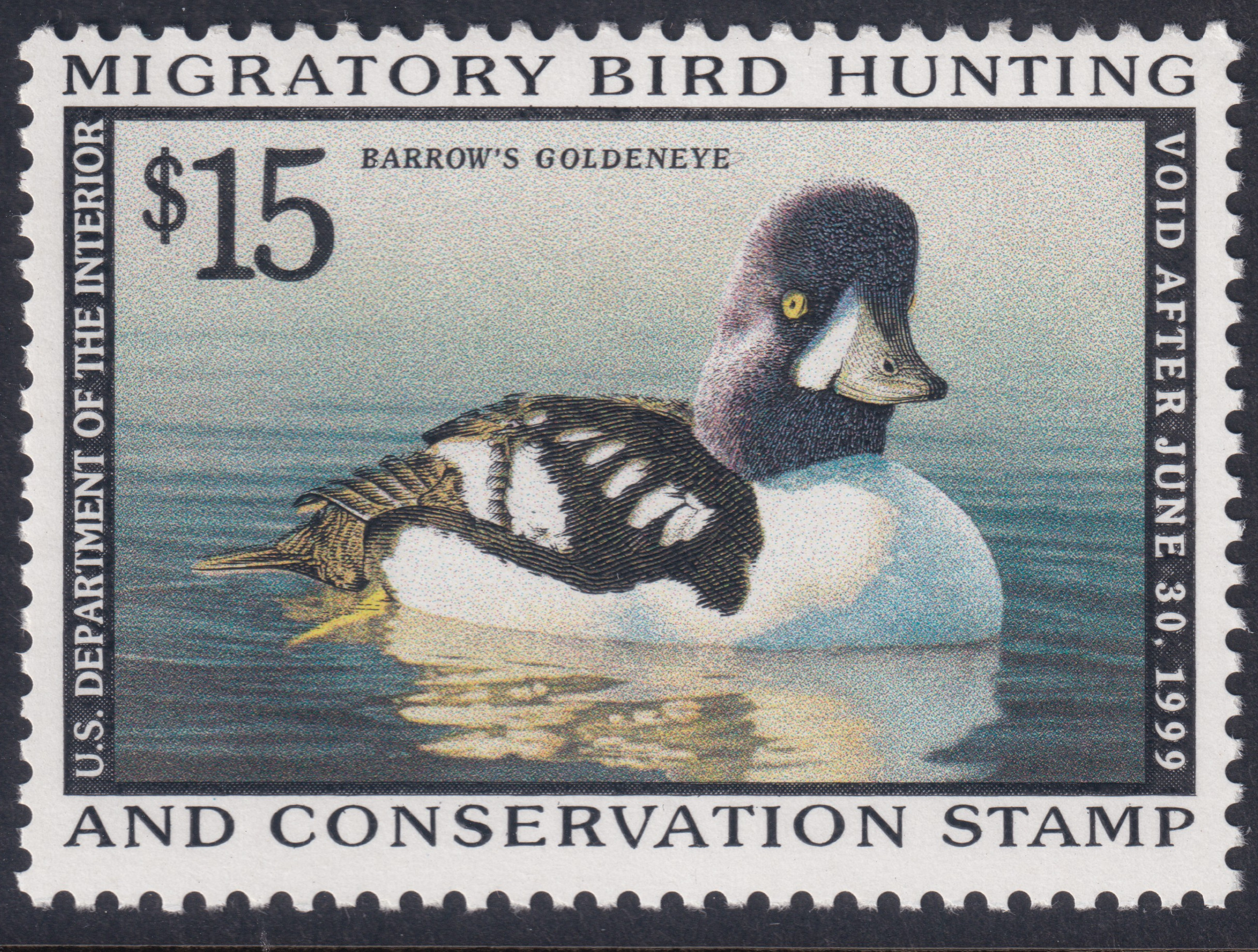 Stamp Picture