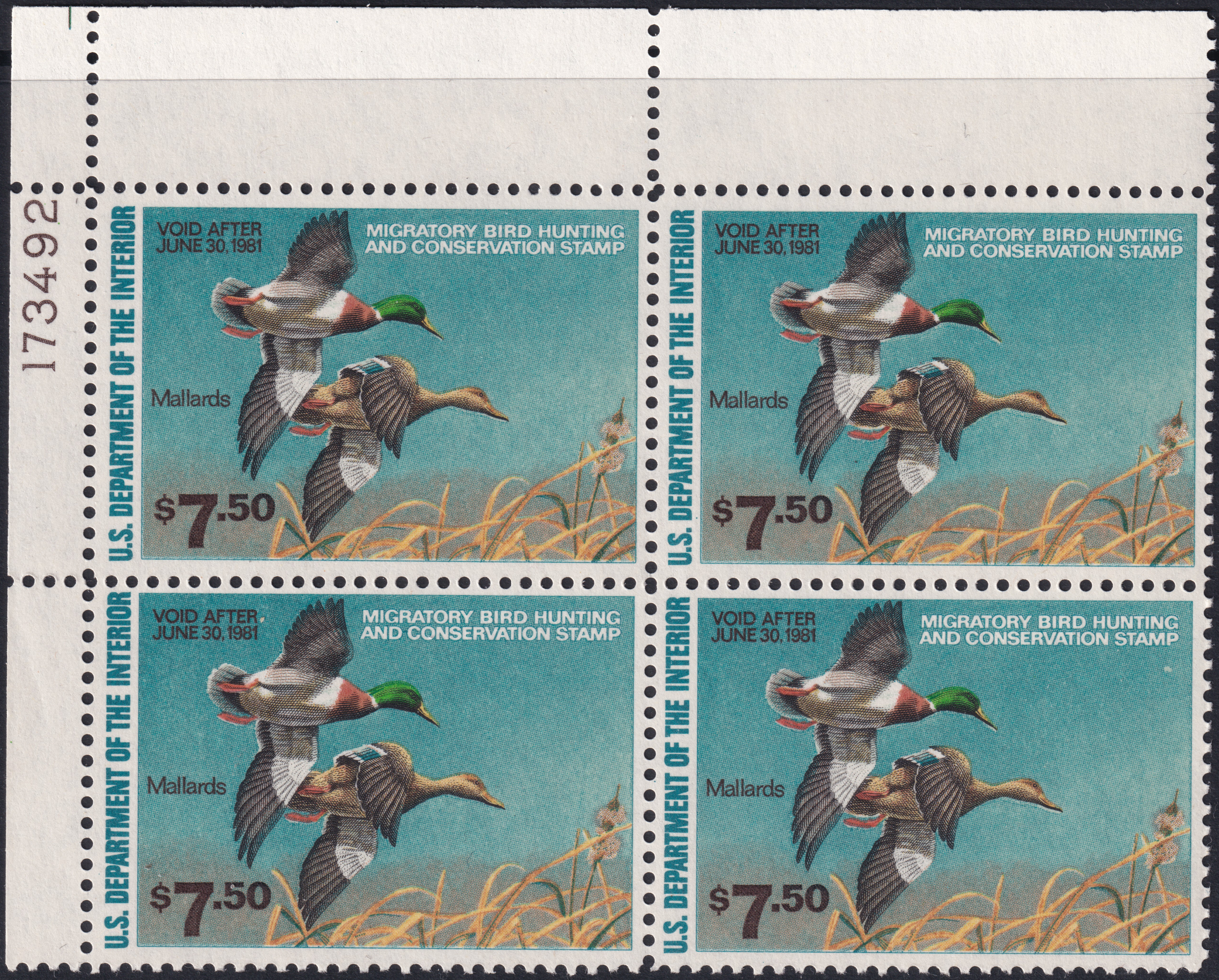 Stamp Picture