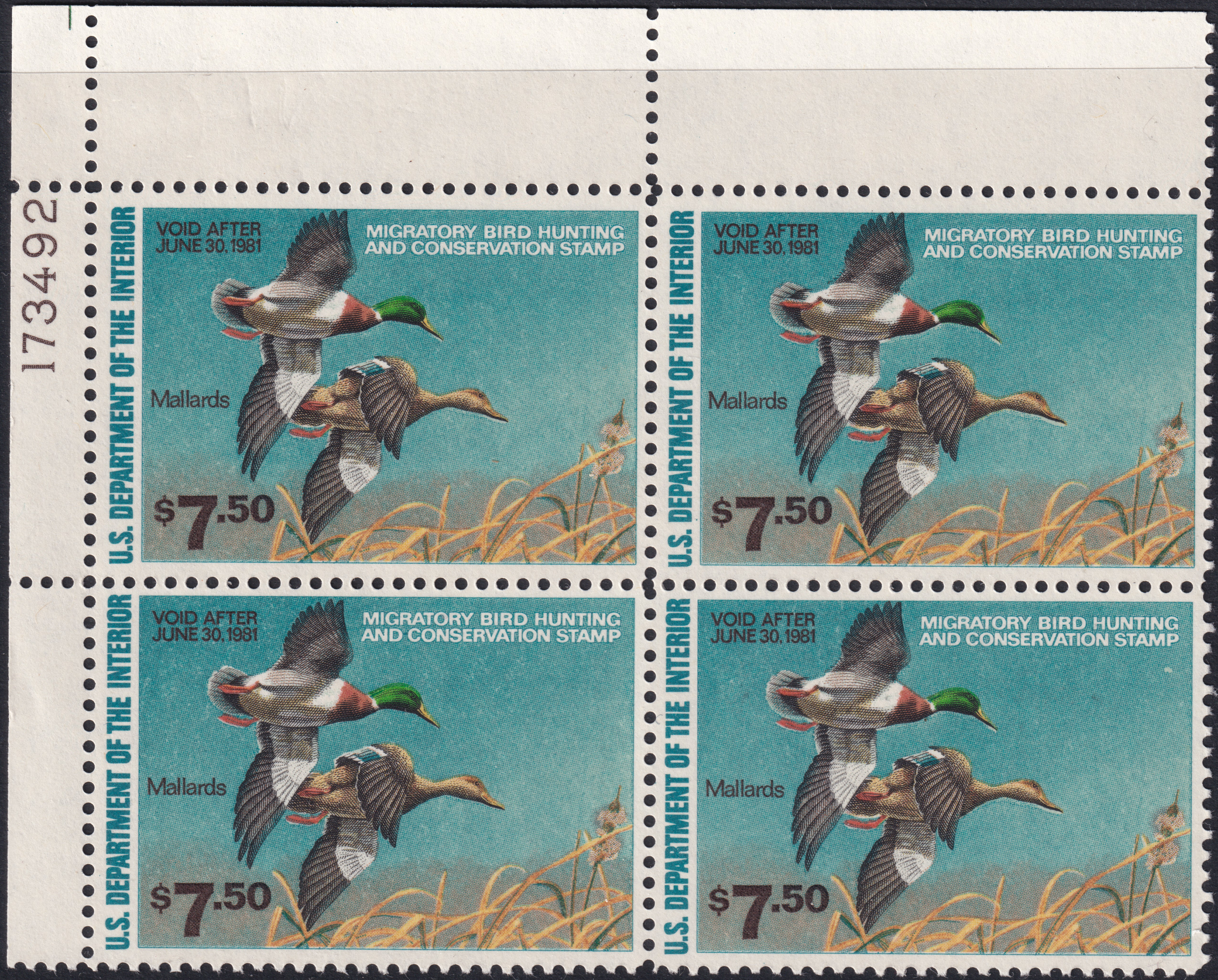Stamp Picture