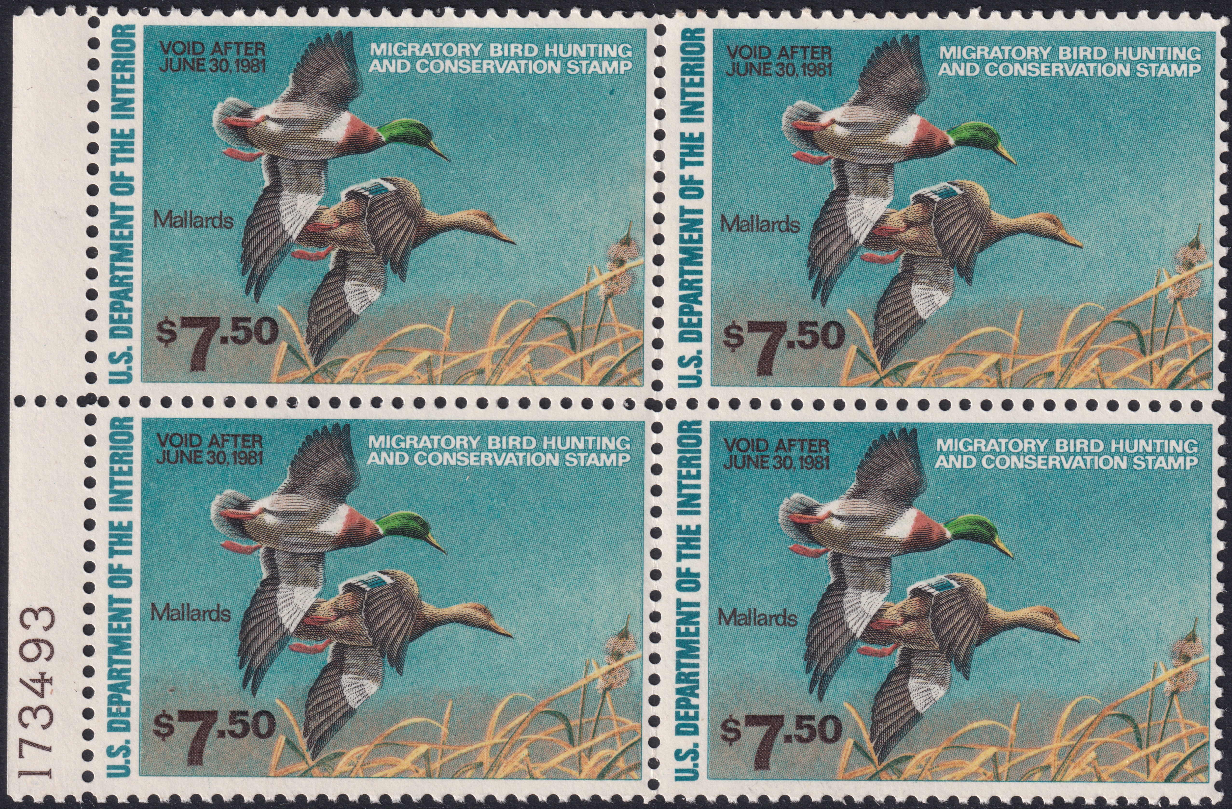 Stamp Picture